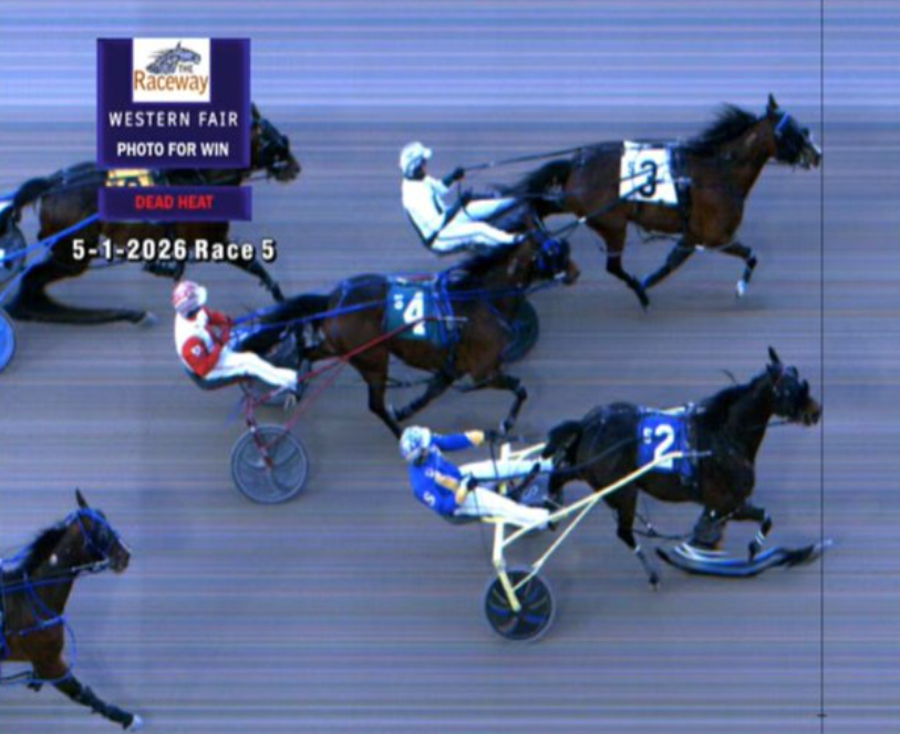 Dead Heat In Western Fair Preferred