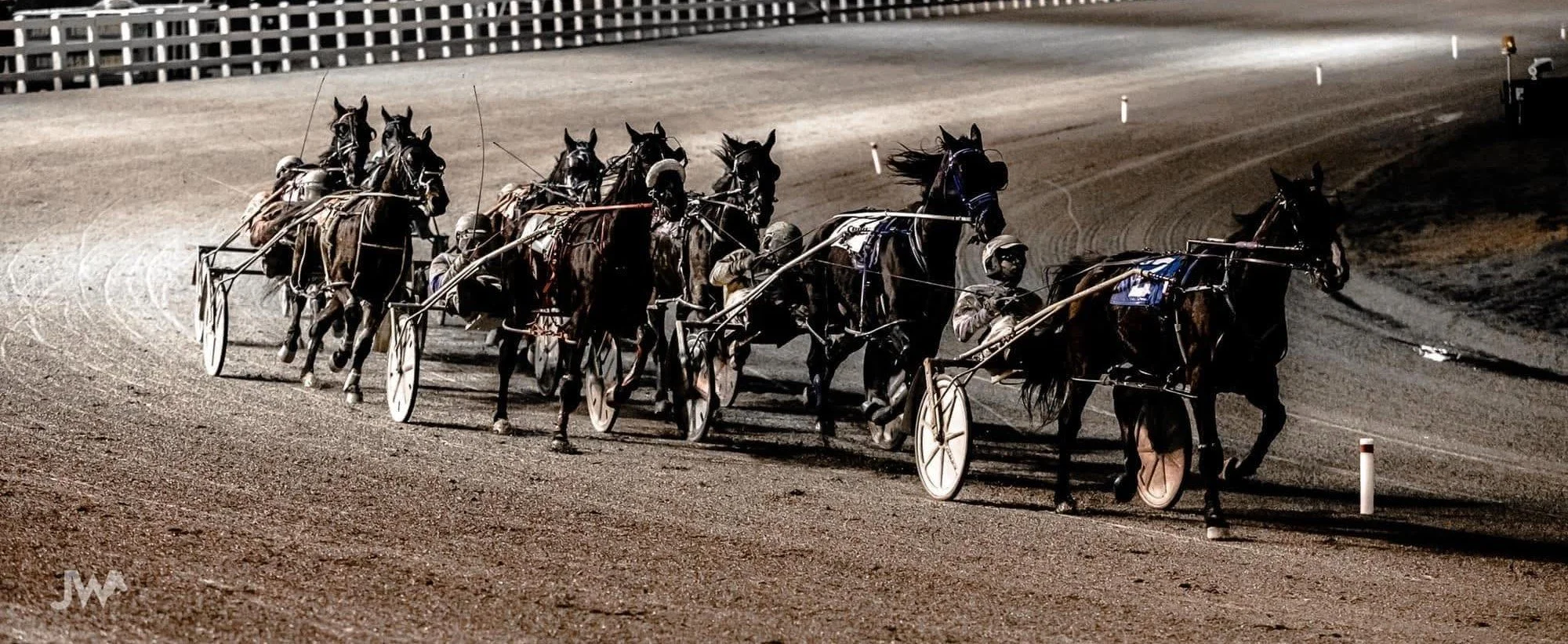 Trifecta Thursday + Live Racing - Post Time 5:50 PM