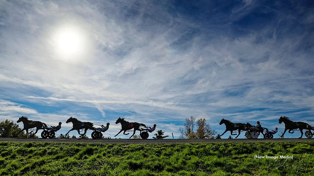 Canada's Harness Racing Leaderboard Update (SC Files)