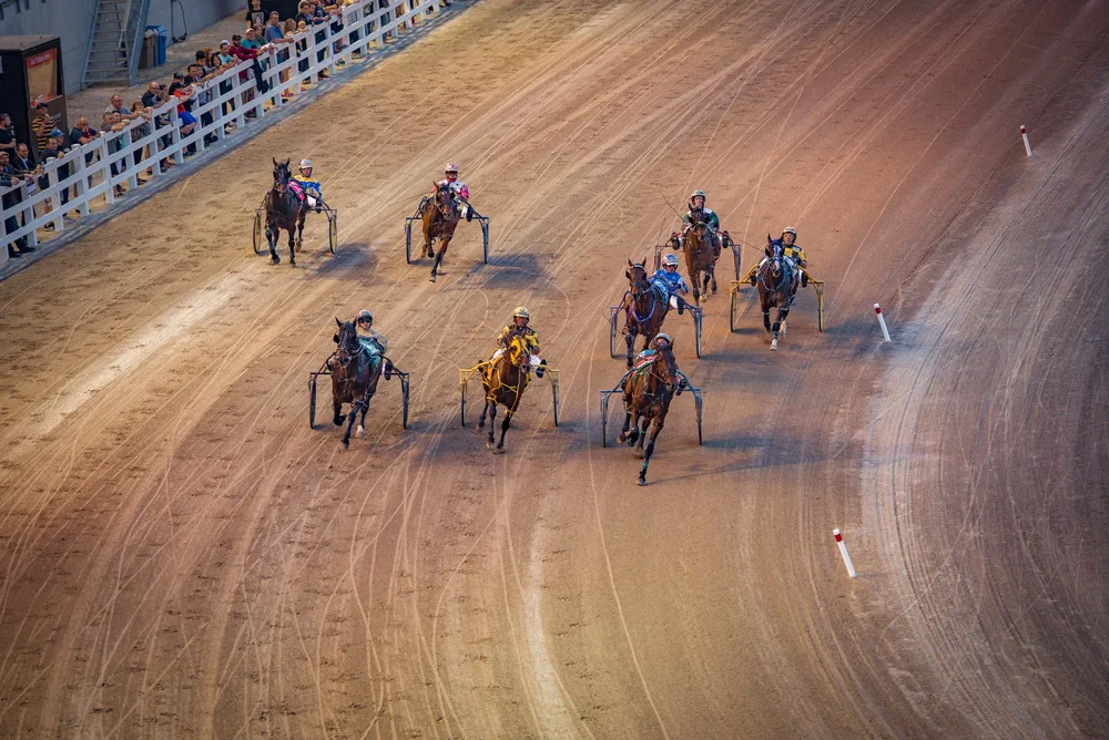 The Raceway at Western Fair District
