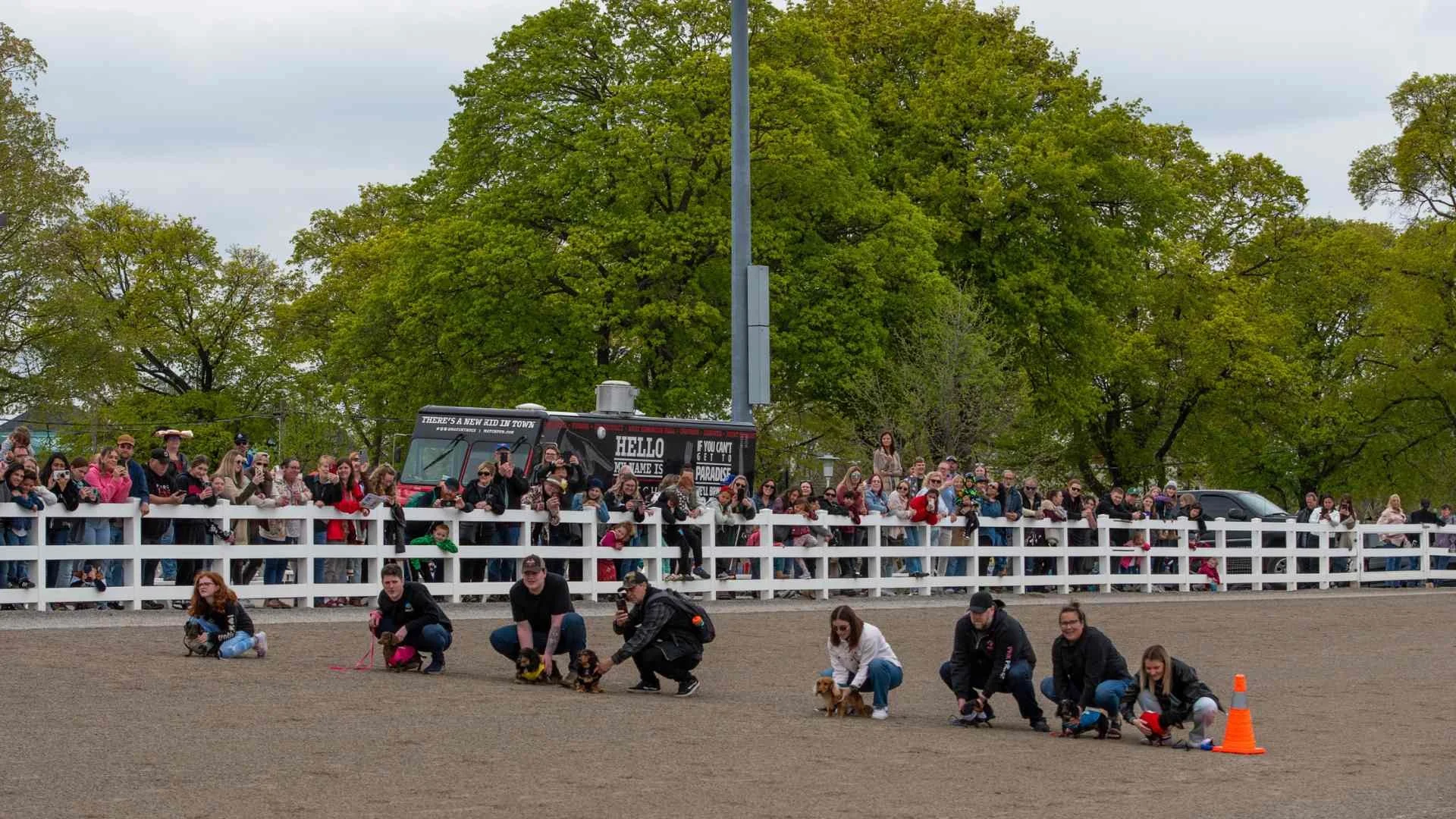 wiener dog races in London Ontario