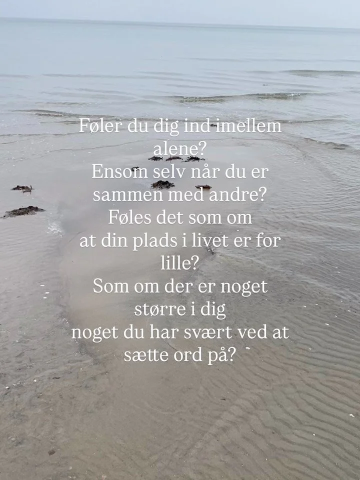 Words from Mindrise💌