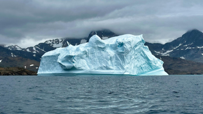 How to Scale Efficiently: Lessons from an Acord Case Study