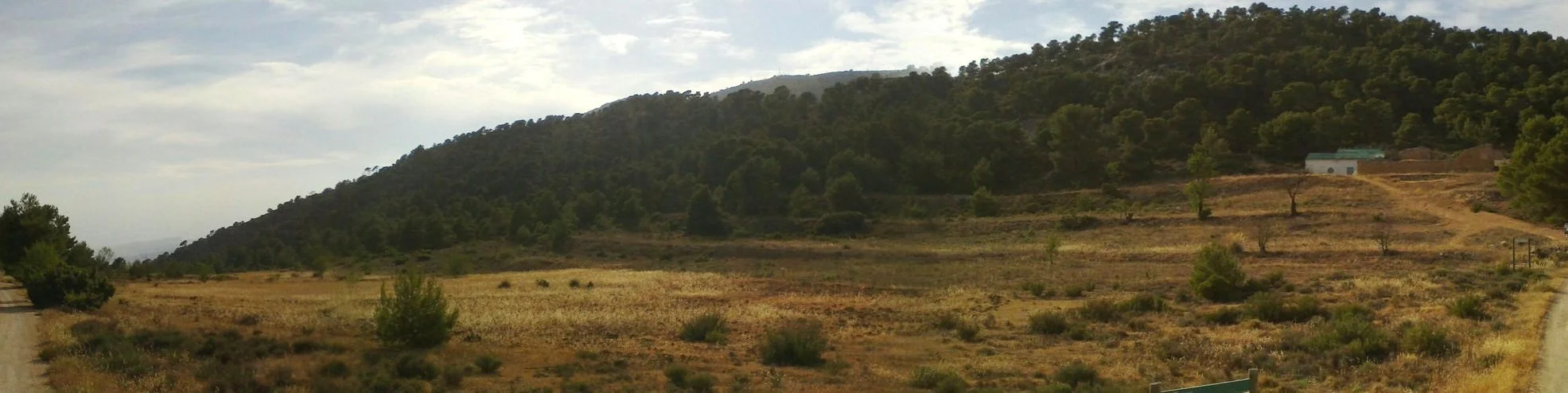 A rural landscape with a sprawling open field, scattered trees, and a hill covered in dense green foliage in the background. There is a small white building to the right in the distance, and a path on the far left side of the image. The sky is partly