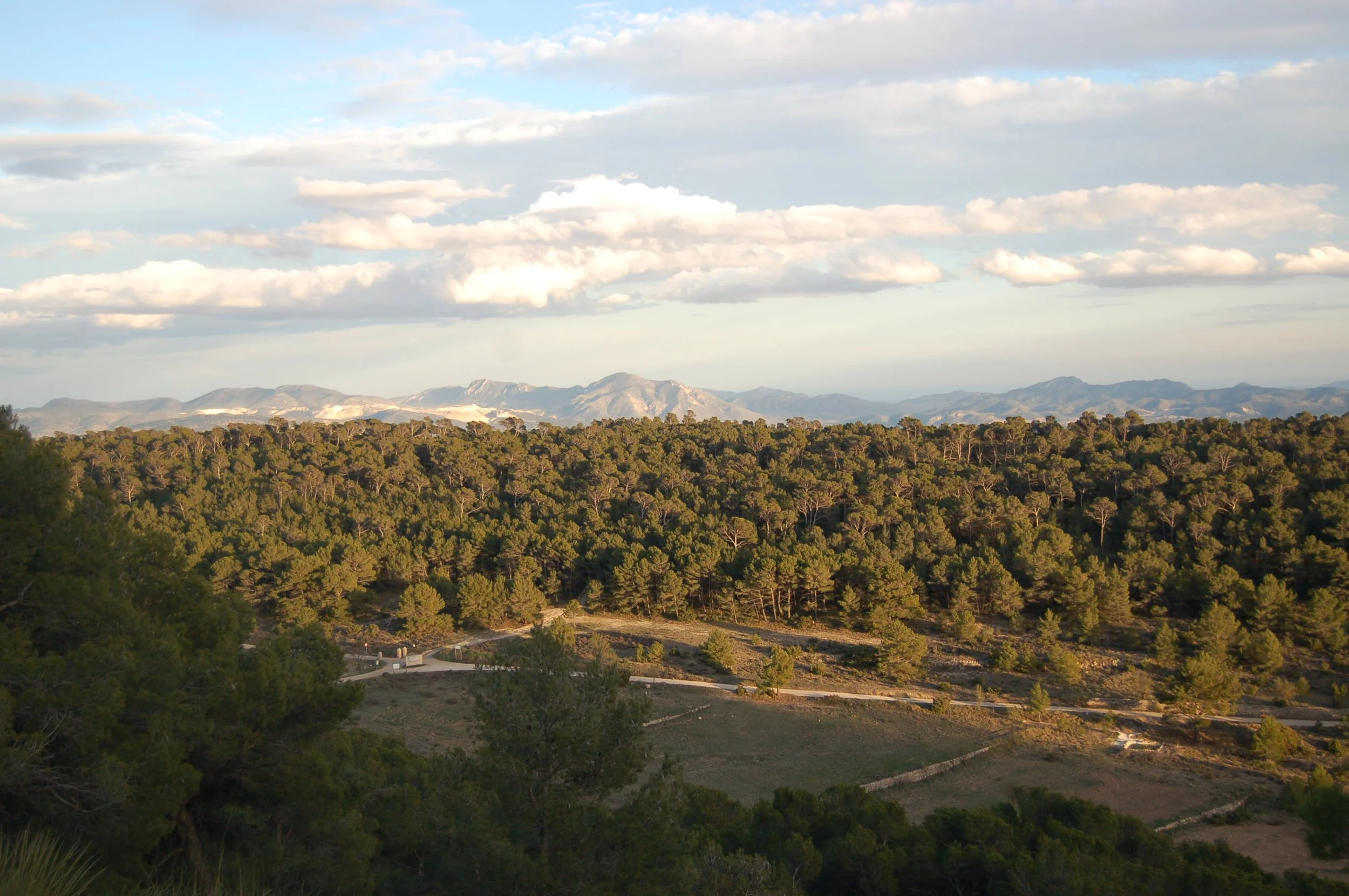 Scenic view of a mountainous landscape with a forest of pine trees in the foreground, rolling hills, and distant mountains under a partly cloudy sky.