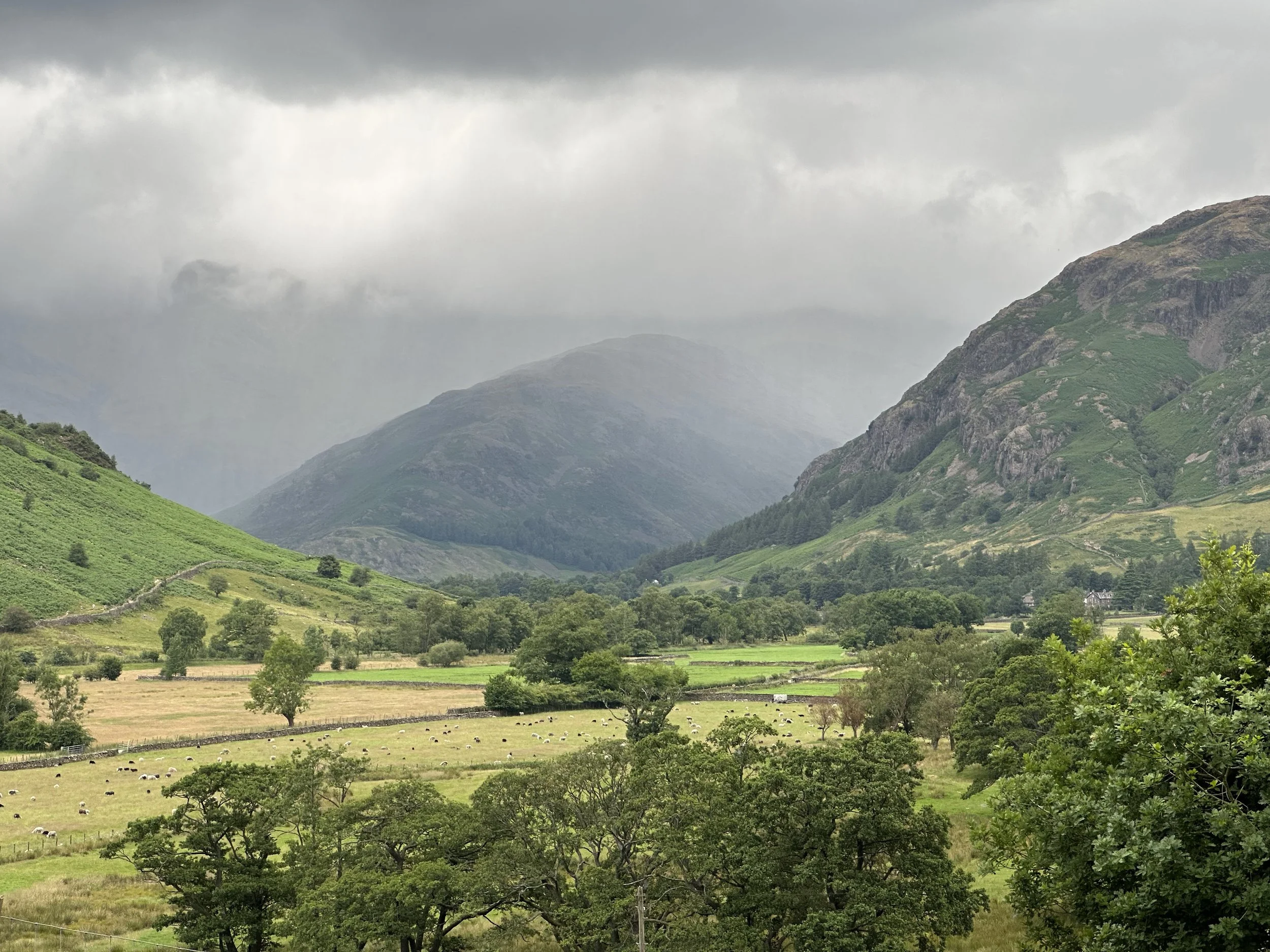 A scenic landscape featuring green rolling hills with scattered trees in the foreground, a flock of sheep grazing, and large mountains in the background under a cloudy sky.