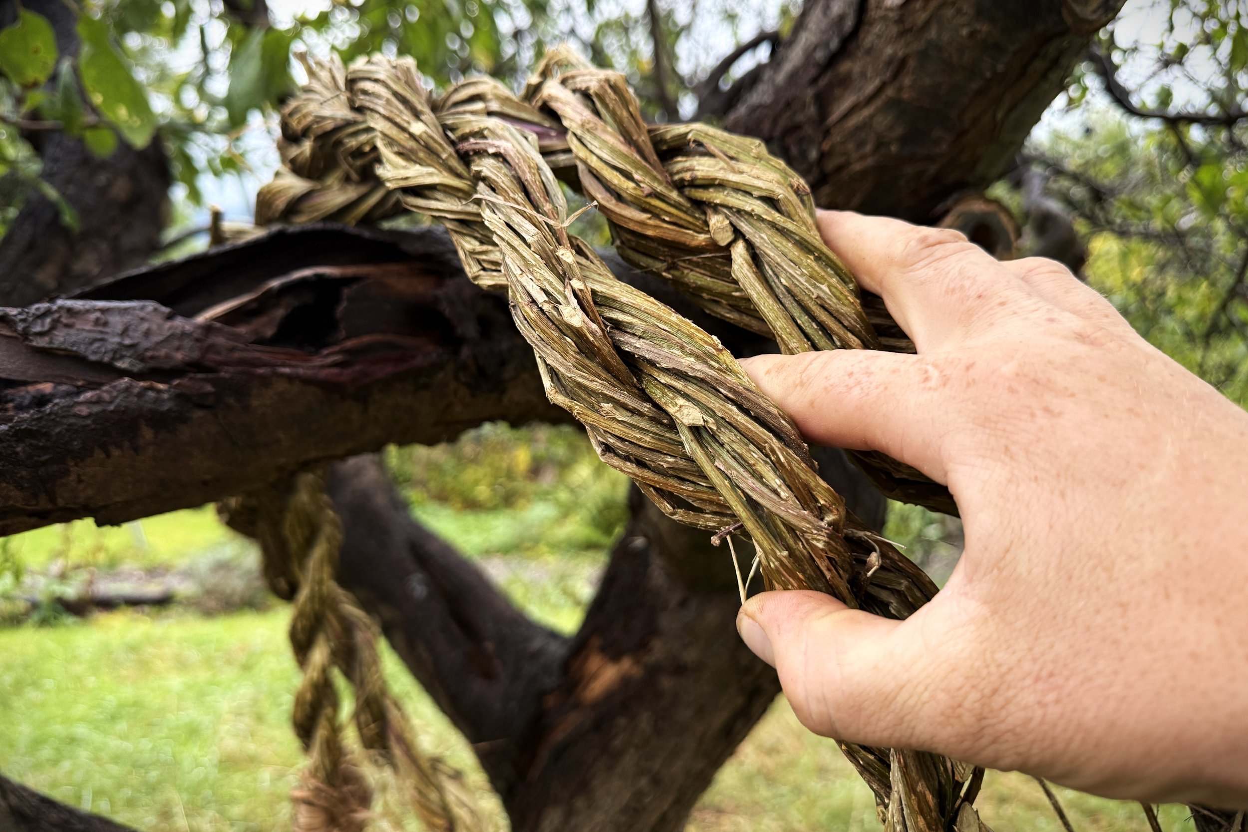 Bramble Rope