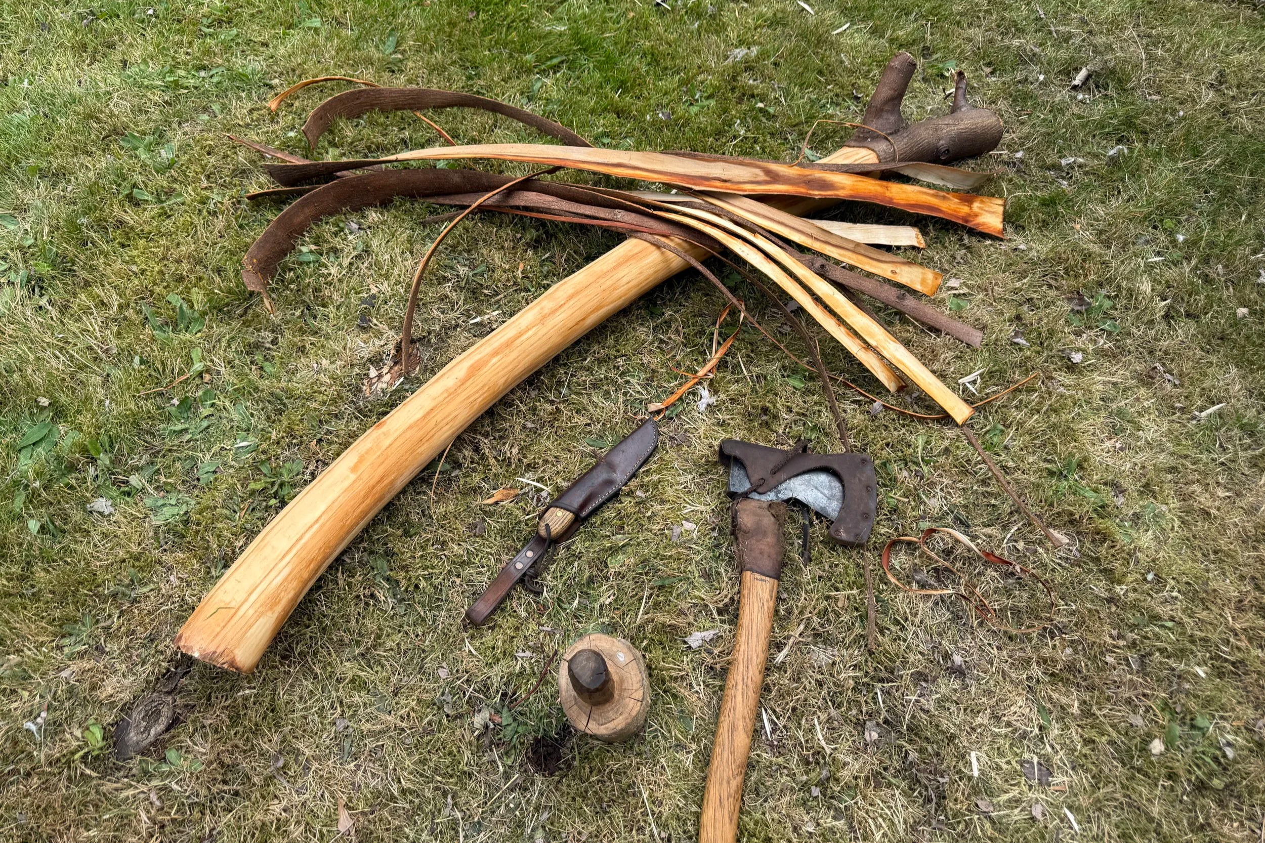 Elm Bark Processing