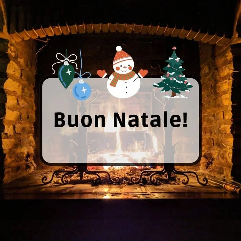 Dopo mesi di fatiche, è arrivato il momento di un po' di meritato riposo...buon Natale! Le lezioni riprenderanno a gennaio, con qualche nuovo turno 😊
