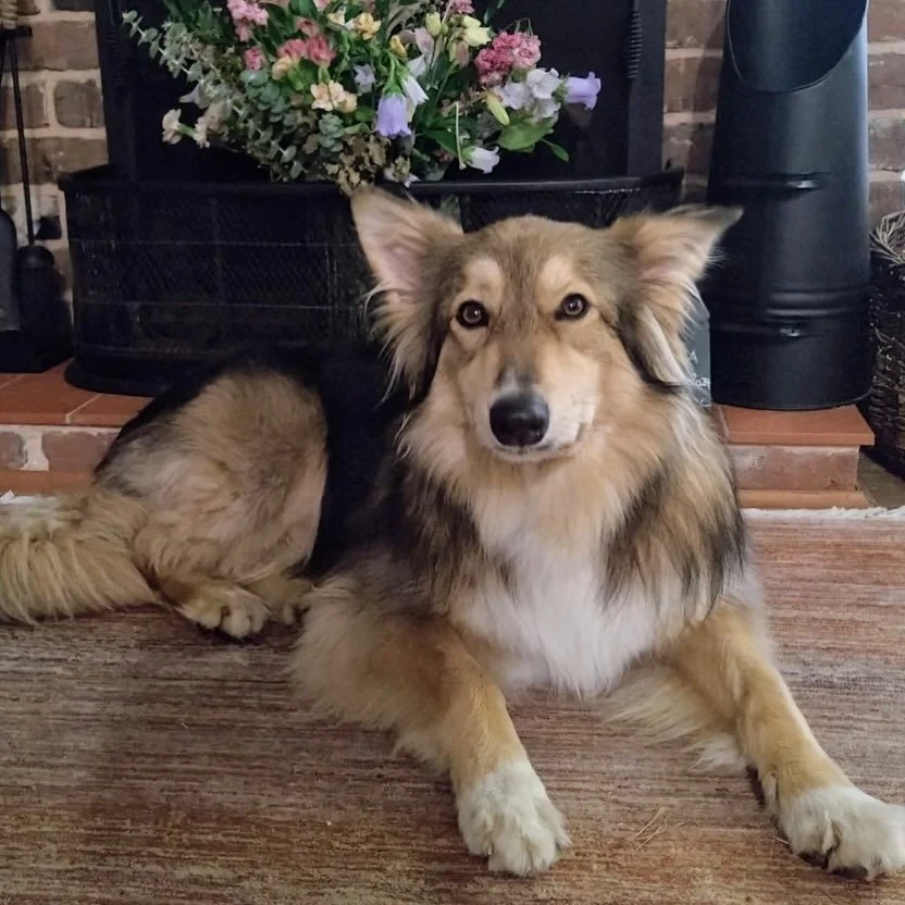 The Hideaway Sark the-hideaway-sark