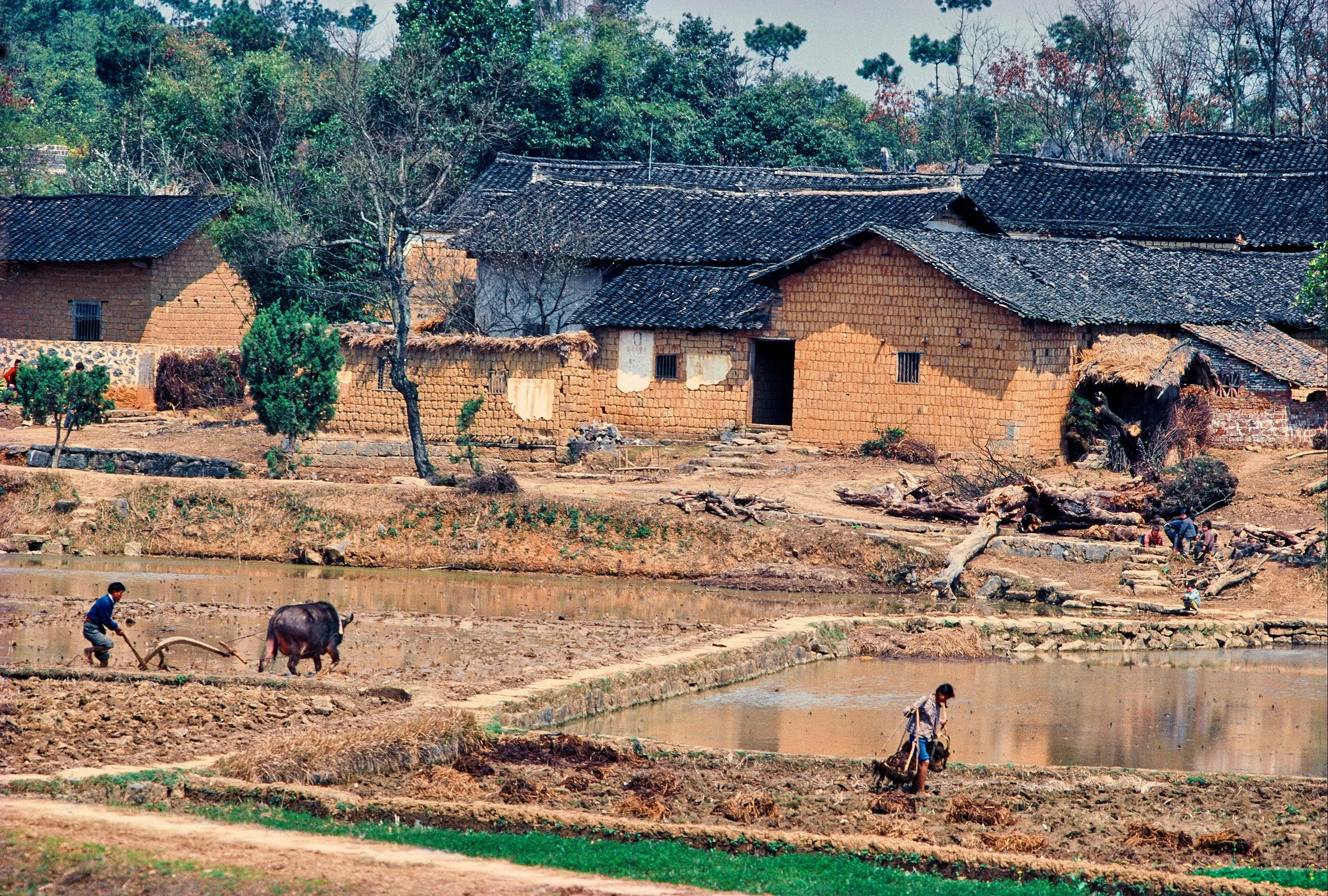 China 1982