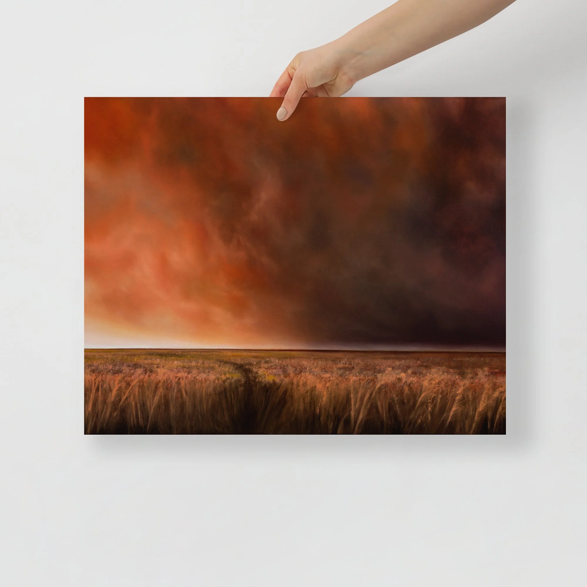 premium-luster-photo-paper-poster-(in)-16x20-front-6aa3d653796d4.jpg