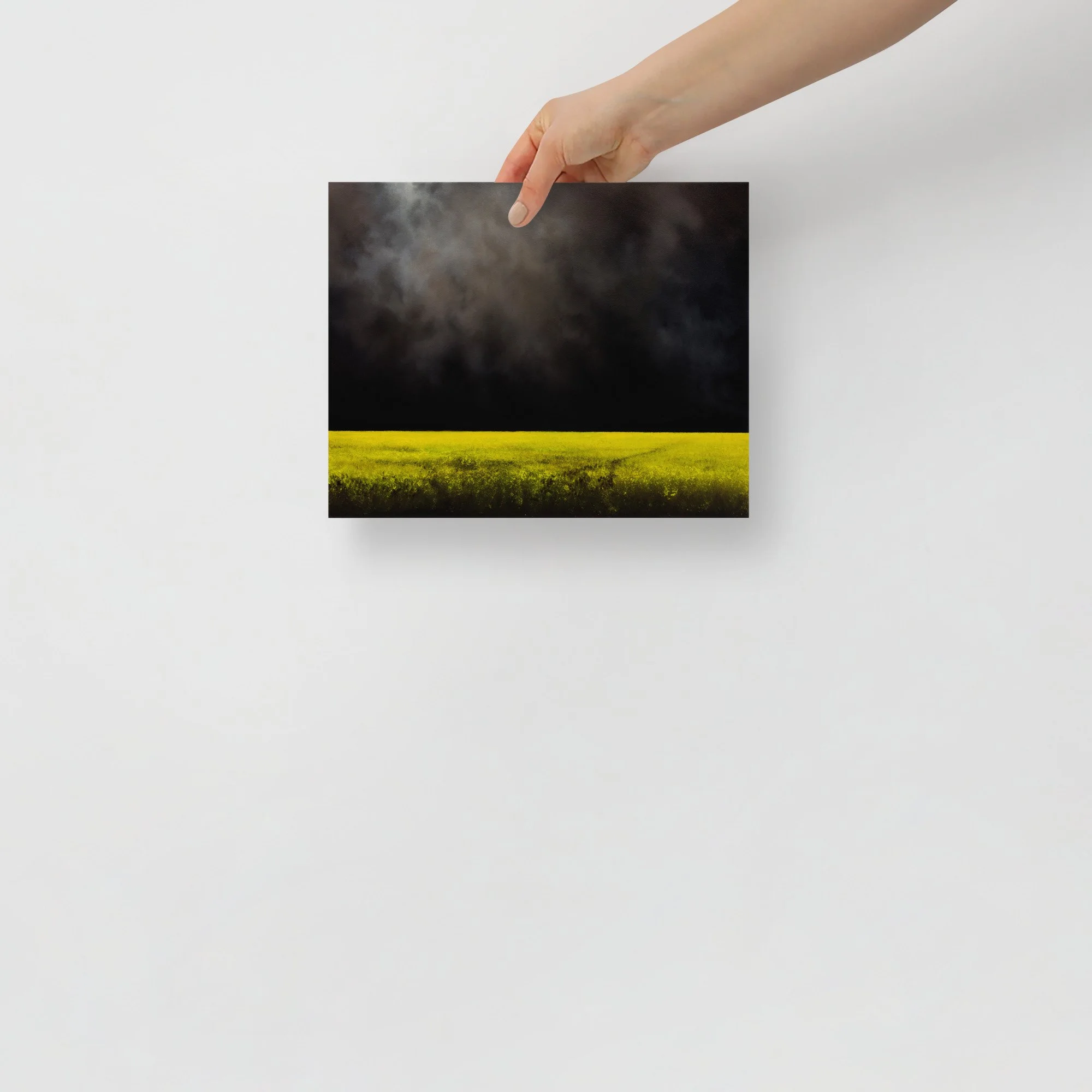 premium-luster-photo-paper-poster-(in)-8x10-front-6aa64d8ade644.jpg
