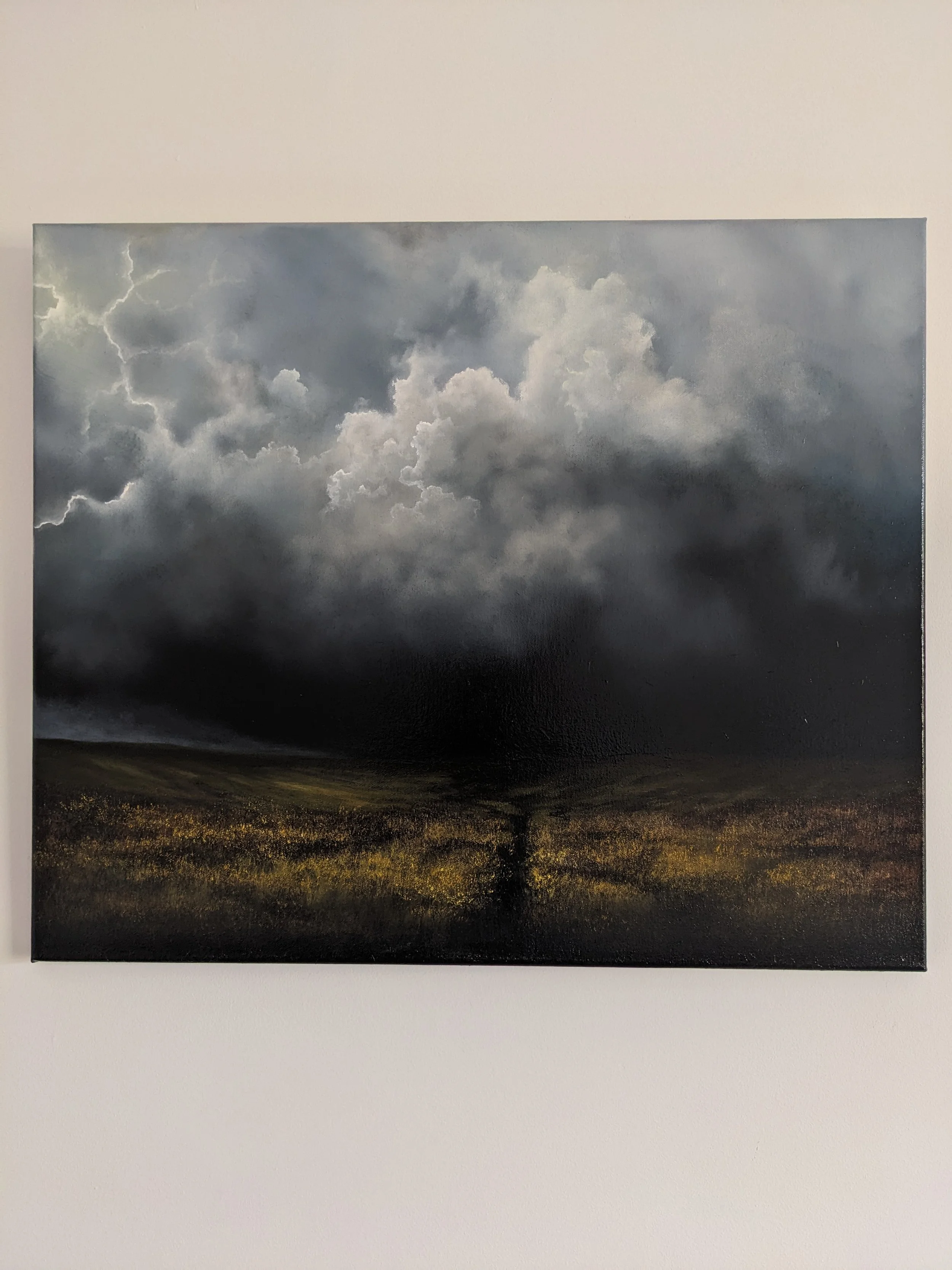 PXL_20260315_105509839.RAW-01.COVER (1).jpg