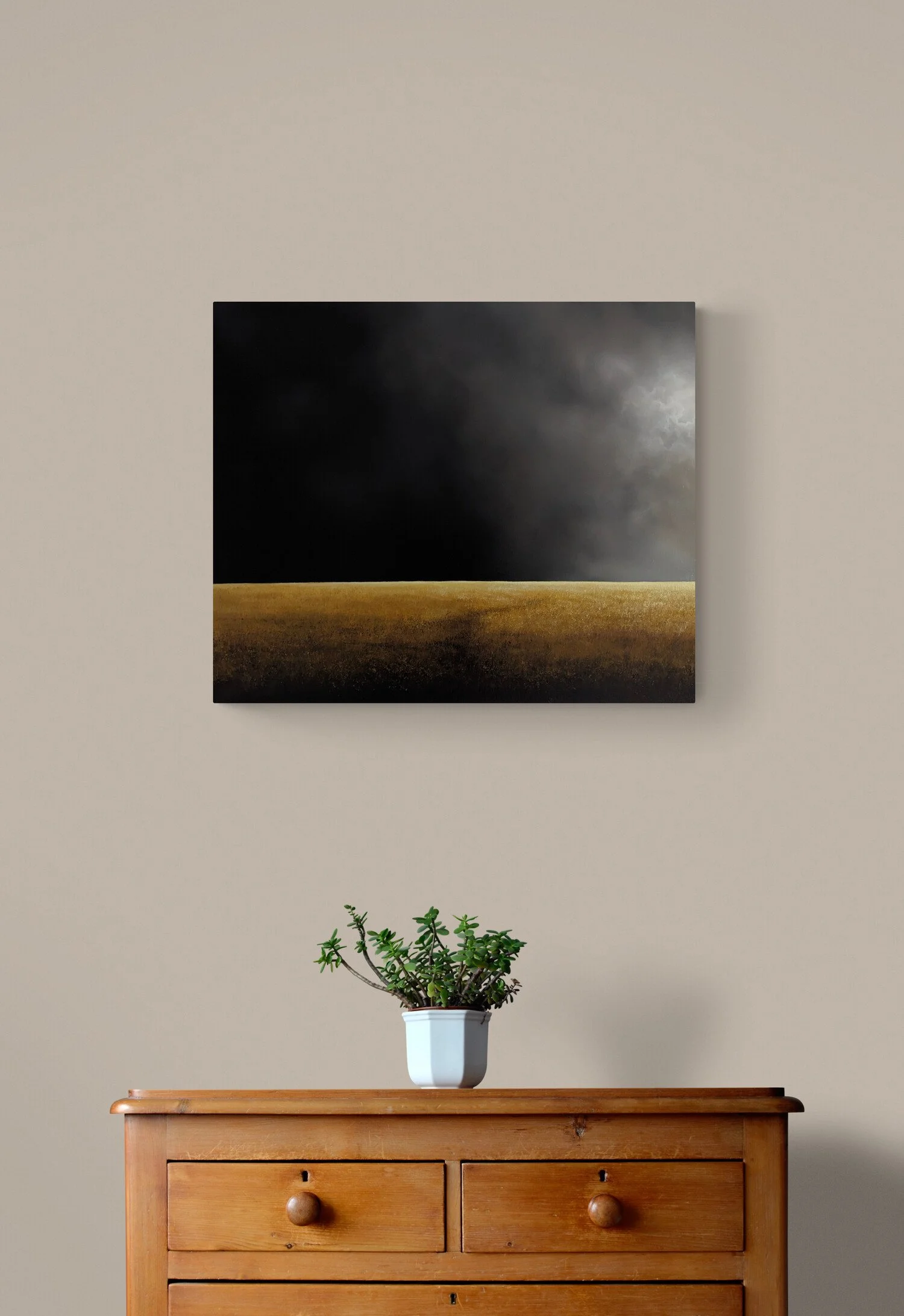 plant-on-wooden-drawers.jpg