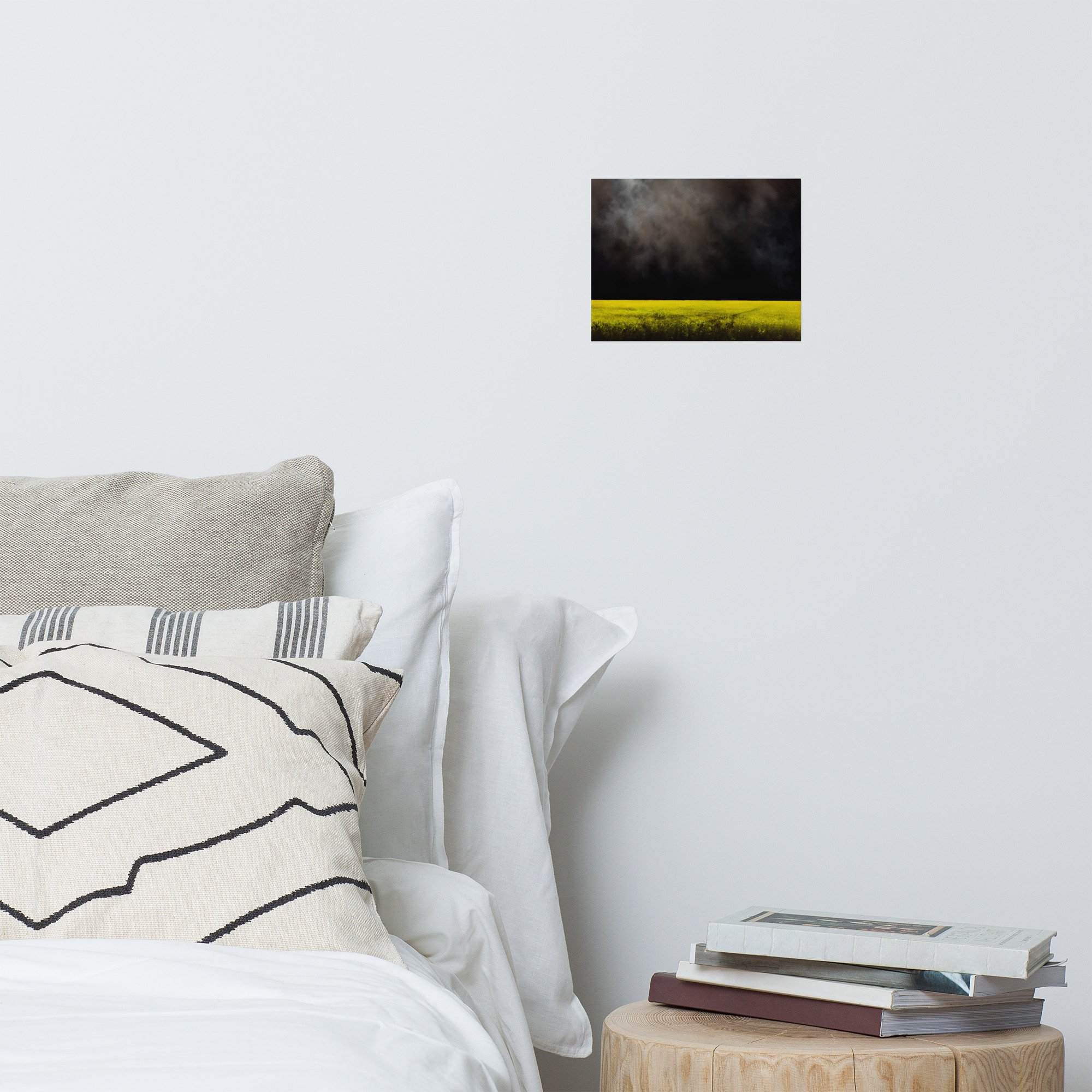 premium-luster-photo-paper-poster-(in)-8x10-front-6aa64d8ade23a.jpg