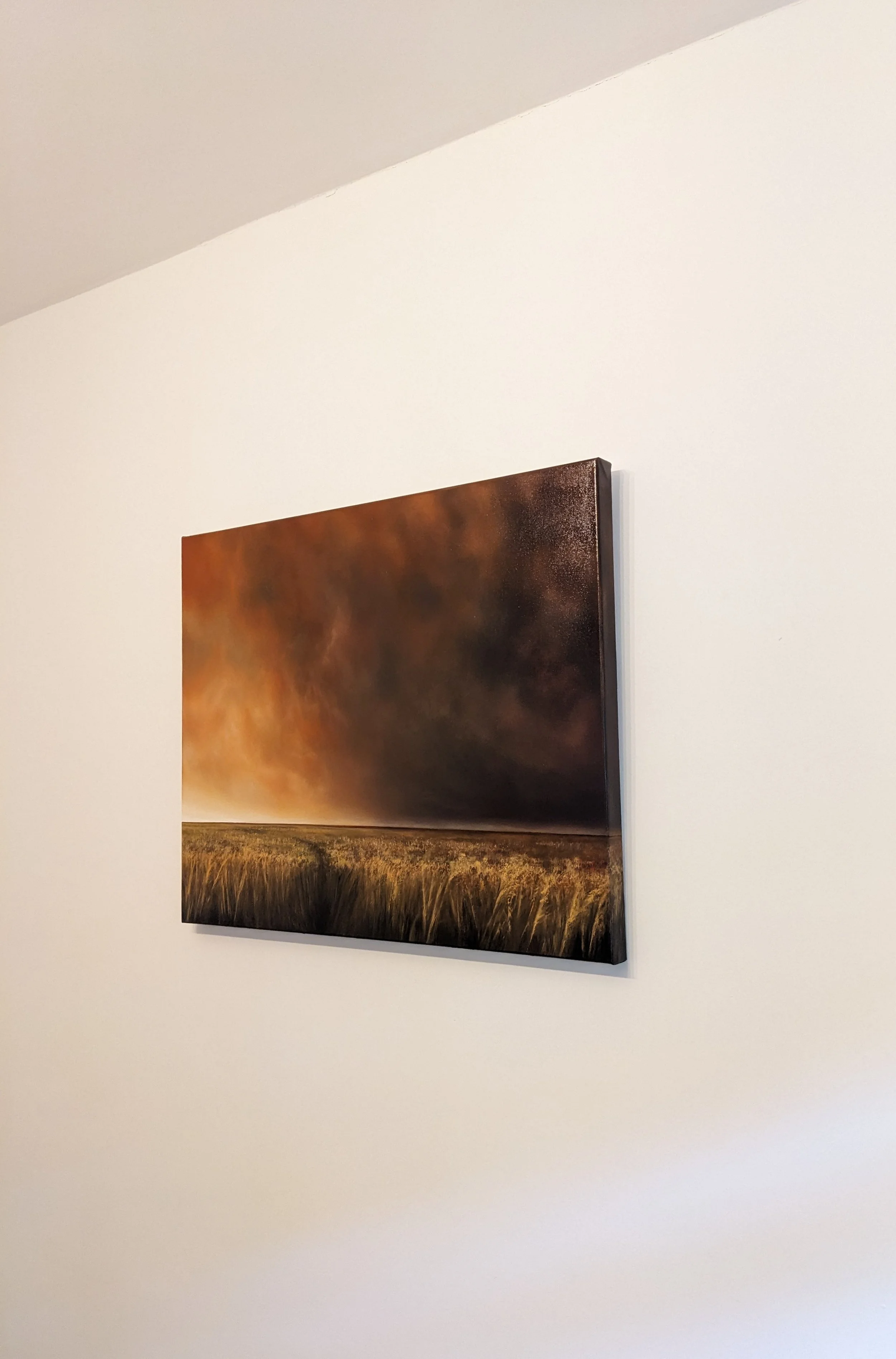 PXL_20260911_104628490.RAW-01.COVER.jpg