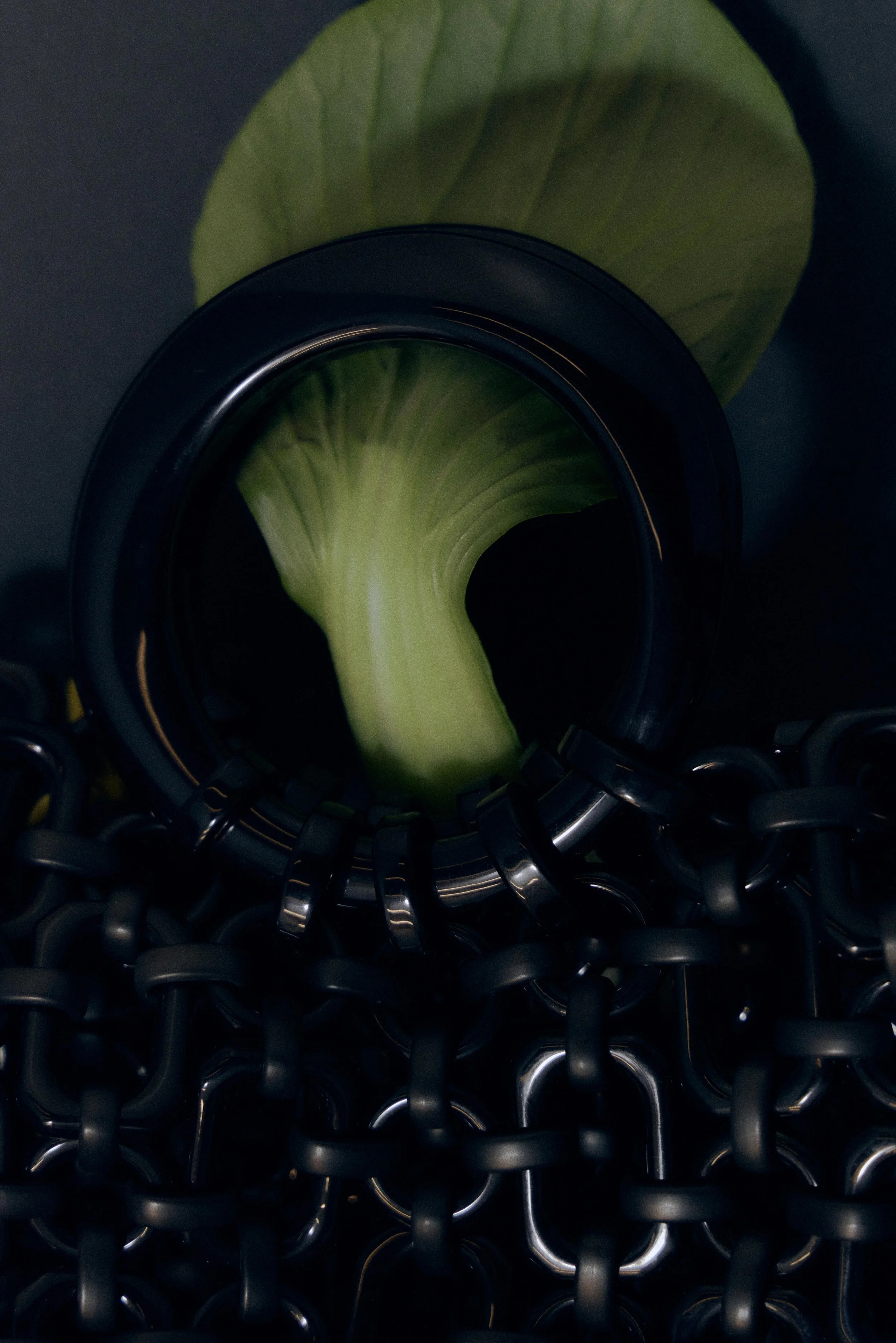 PC_MARS24_3769_FLORIE BERGER.jpg