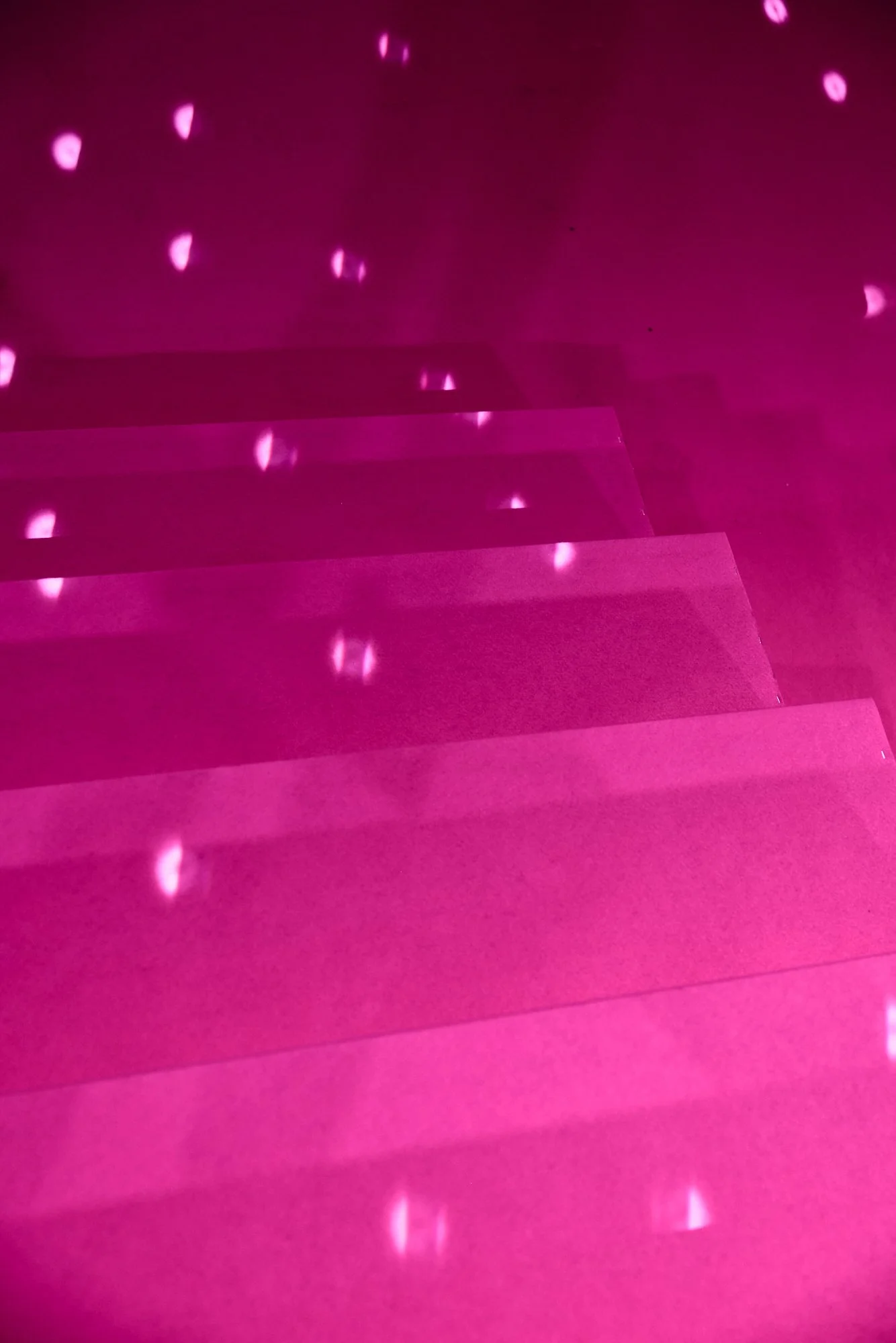 JULIETTE_DENIS_V2 41.jpg