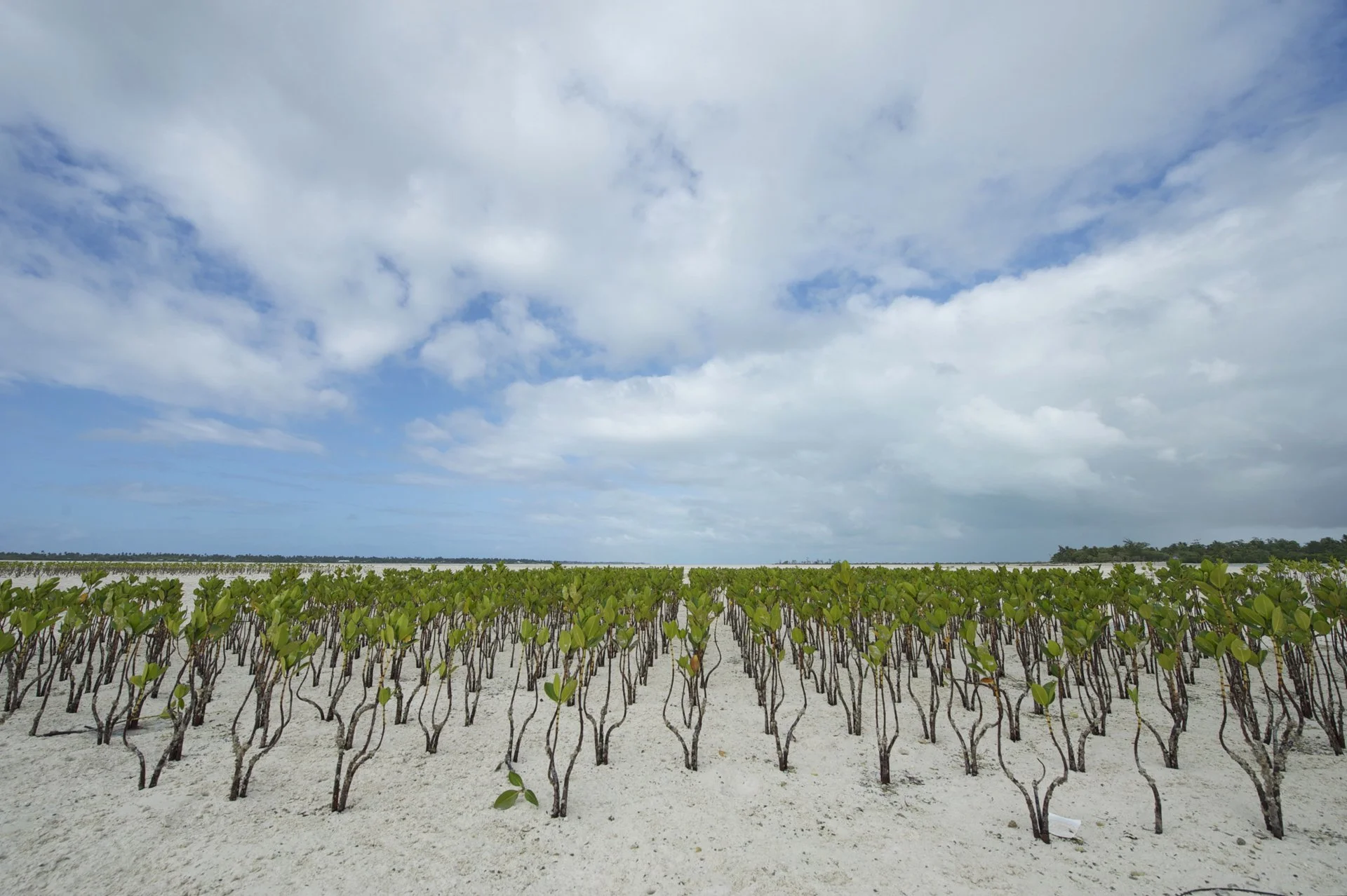 04©Germano_Kiribati_5620.jpg