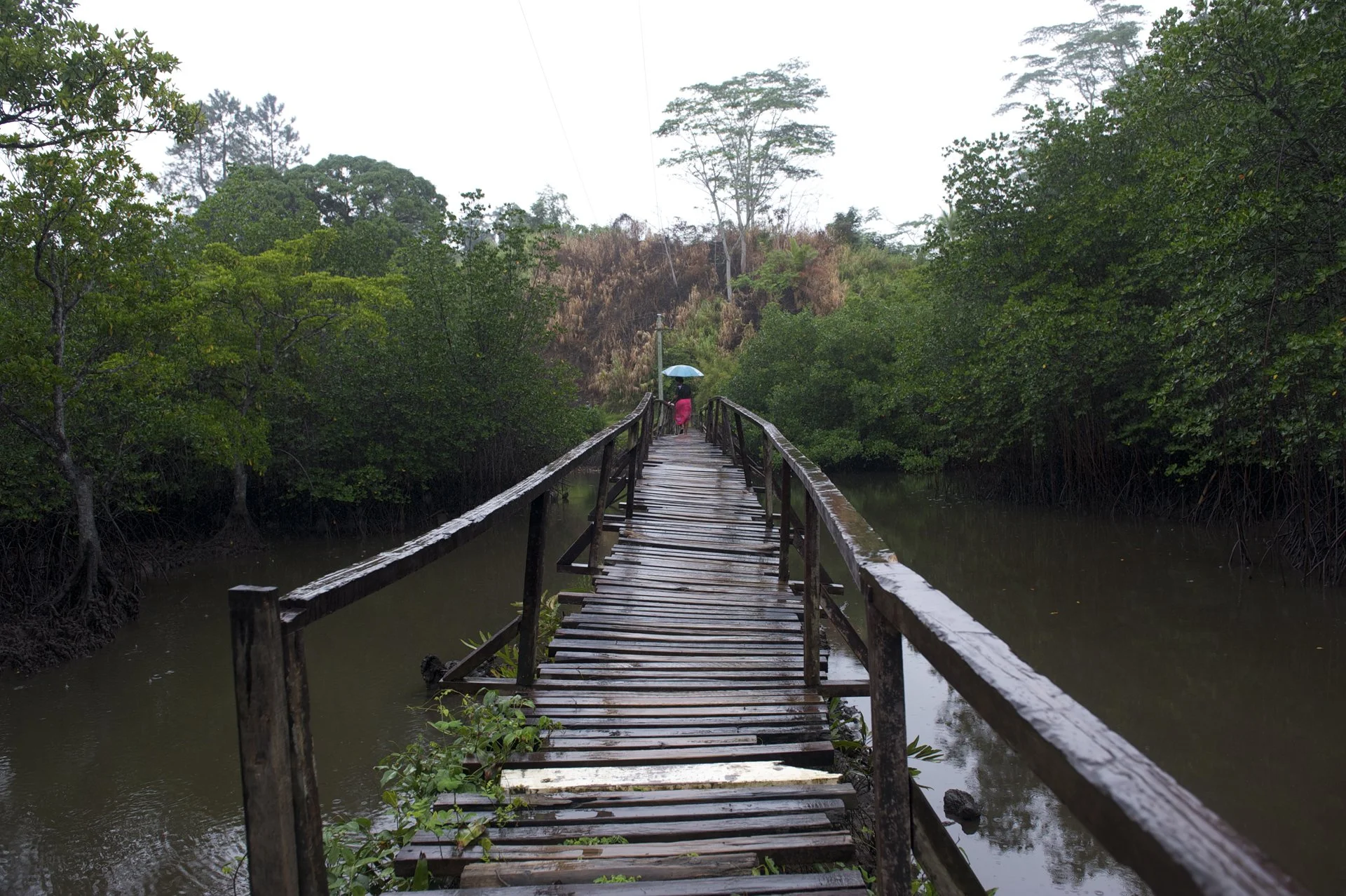 06©Germano_Fiji_1582.jpg