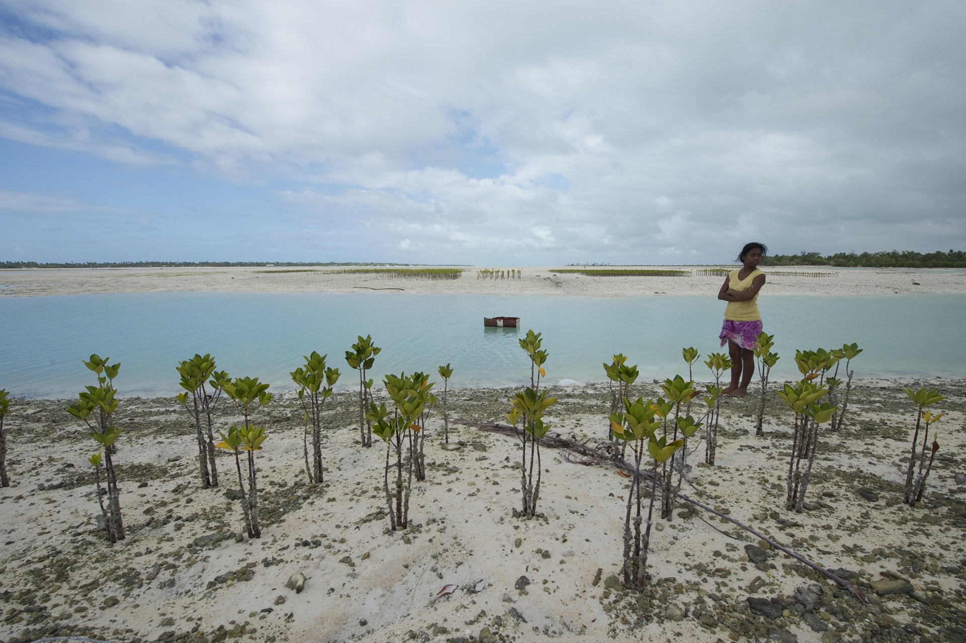 ©Germano_Kiribati_PlantingMangroves.jpg