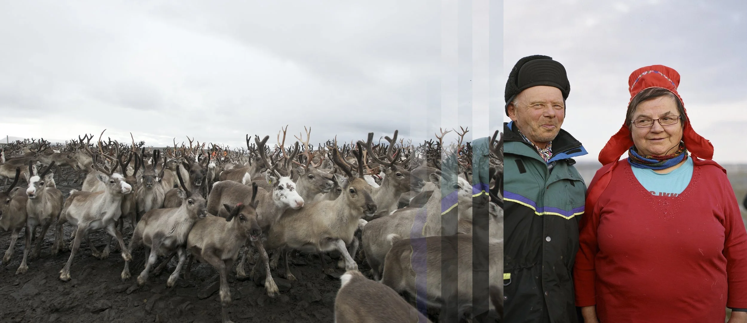 Sami Herders, Norway