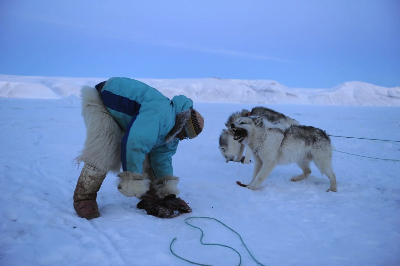 07A©Germano_Greenland_3483.jpg