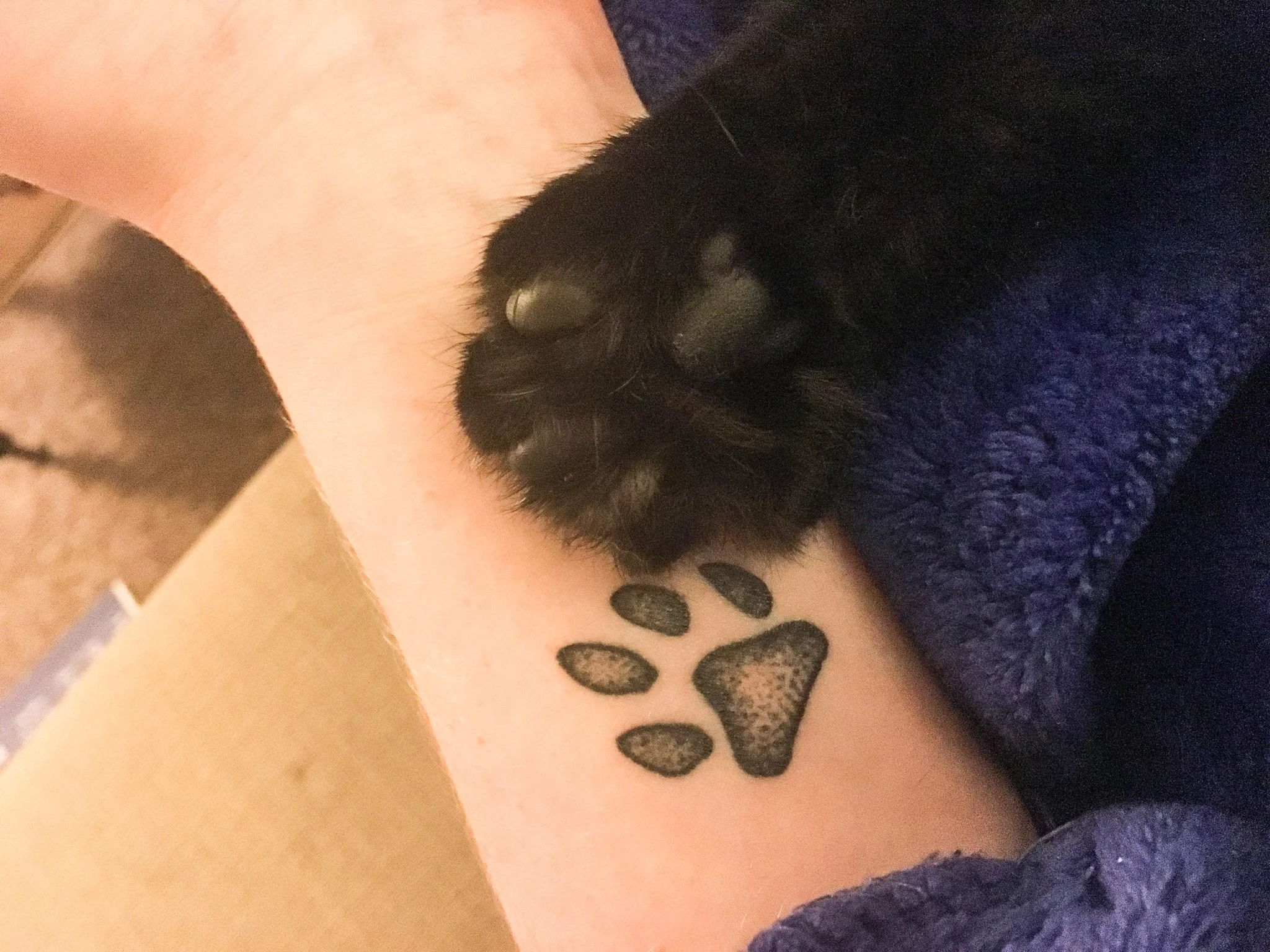 Spirit-the-cat’s paw is tattooed on my arm.
Not metaphorically — literally. Because she’s always standing on it anyway.