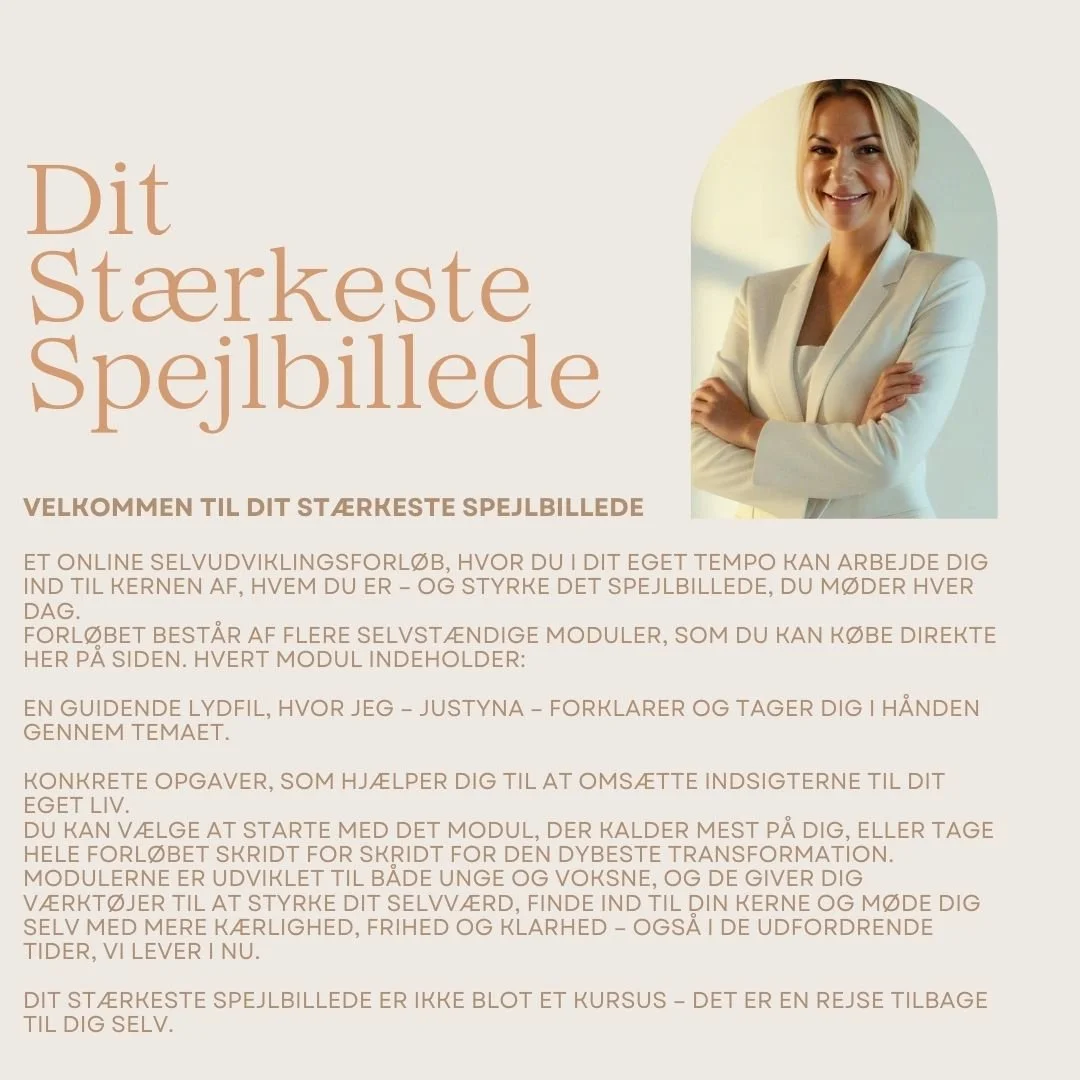 Dit stærkeste spejlbillede, hjemmeside.jpg