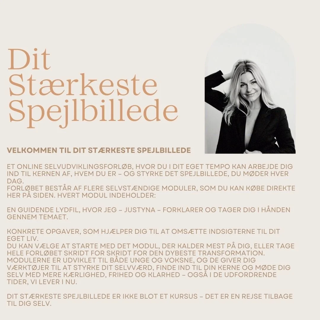 Mit stærkeste spejlbillede, Modul 2.jpg