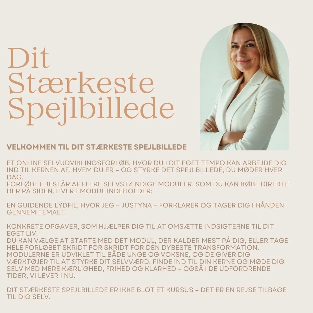Dit stærkeste spejlbillede3.jpg