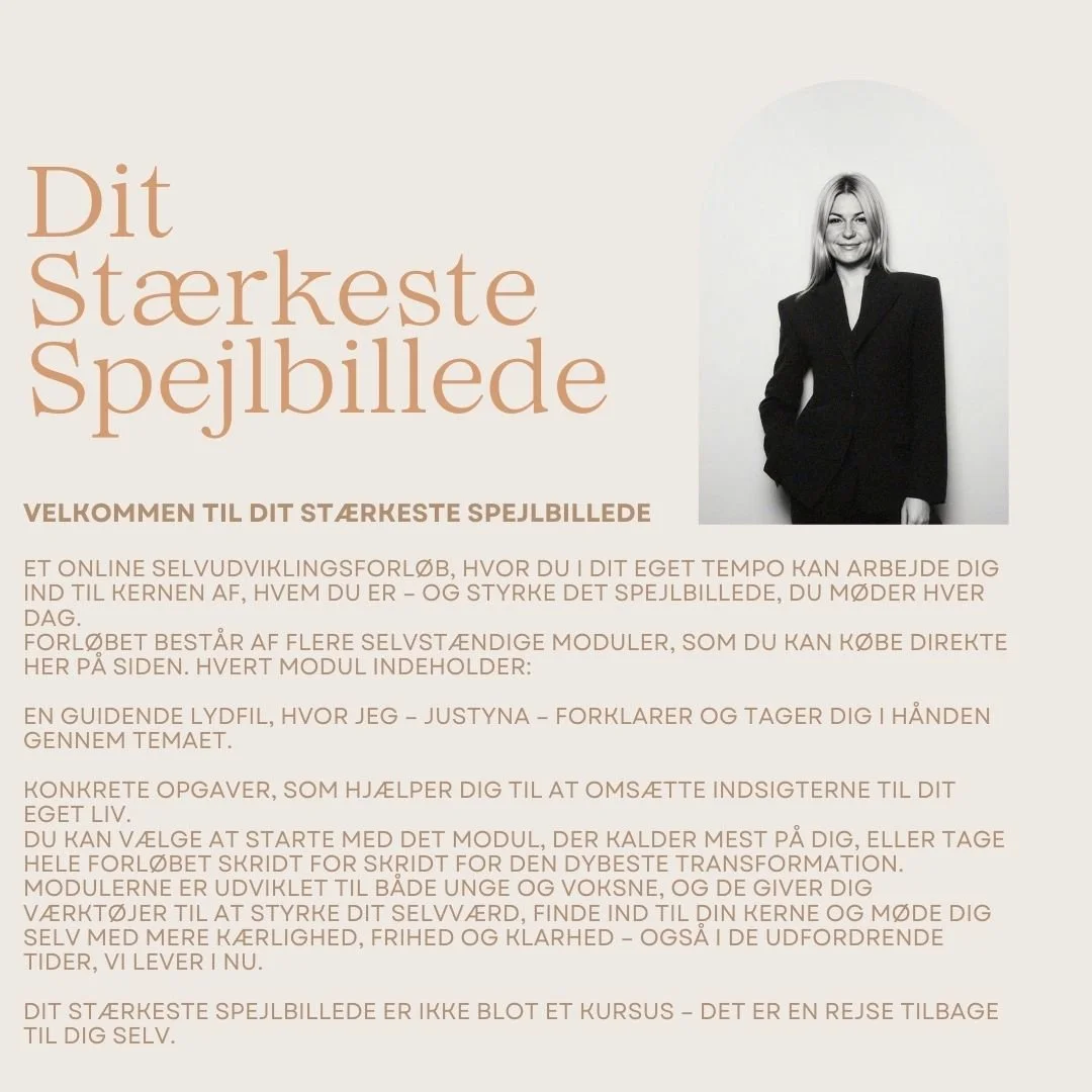 Dit stærkeste spejlbillede,modul 4.jpg