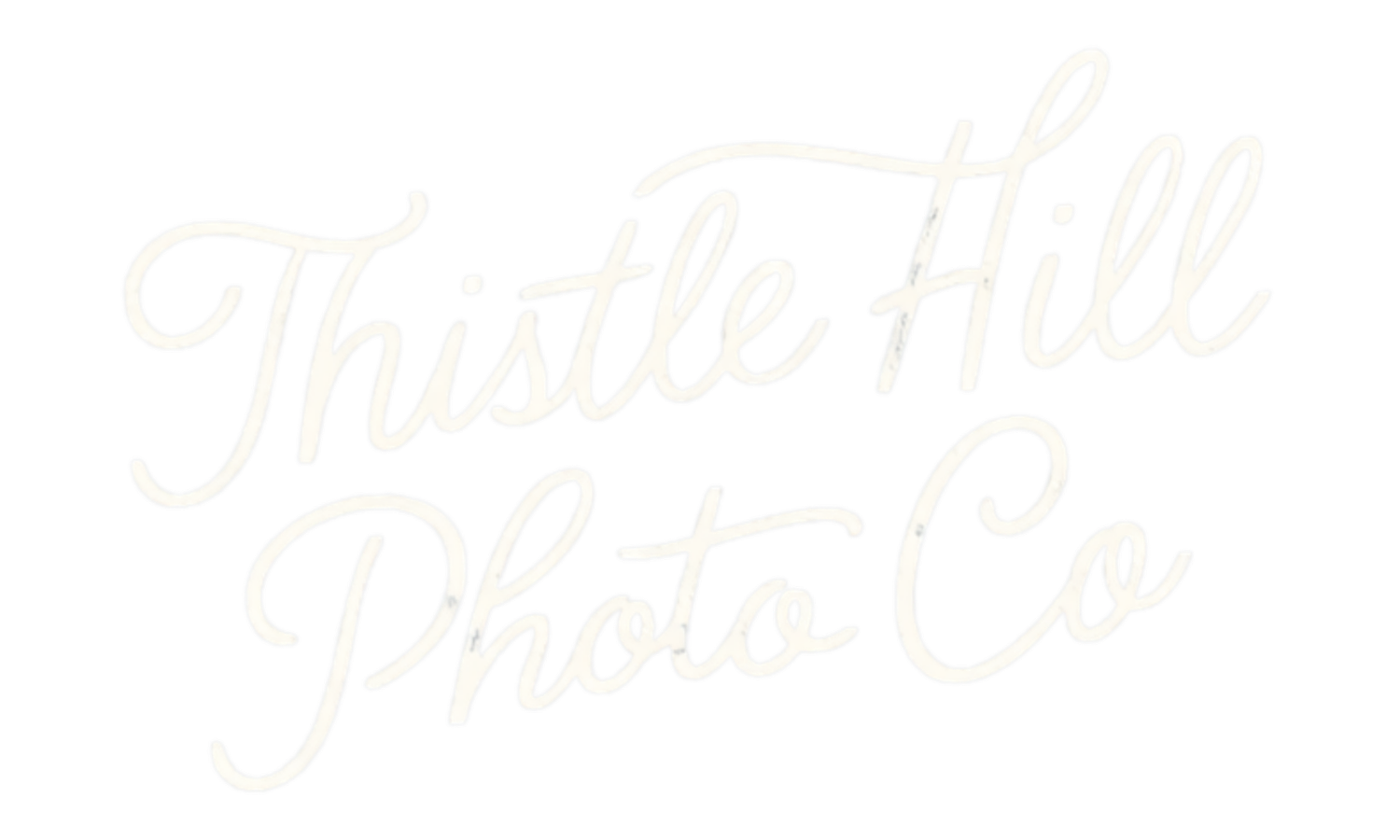 thistle hill photo co