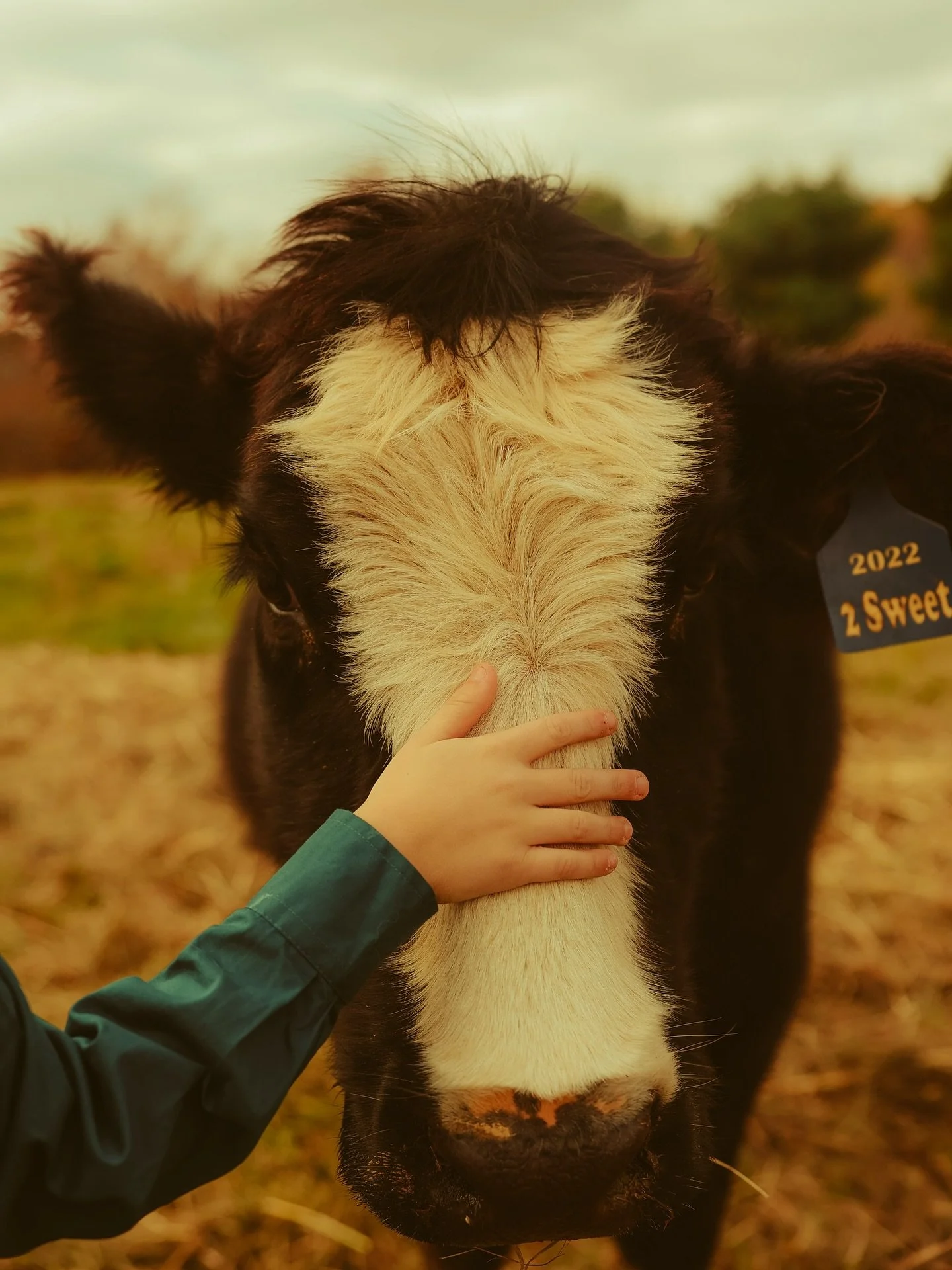 little moments on the farm mean the most.