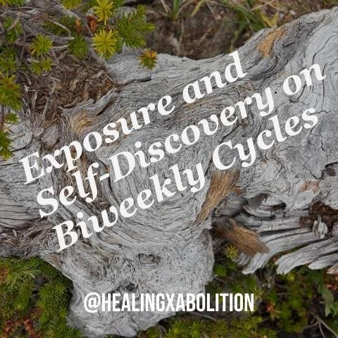 Exposure and Self-Discovery on Biweekly Cycles