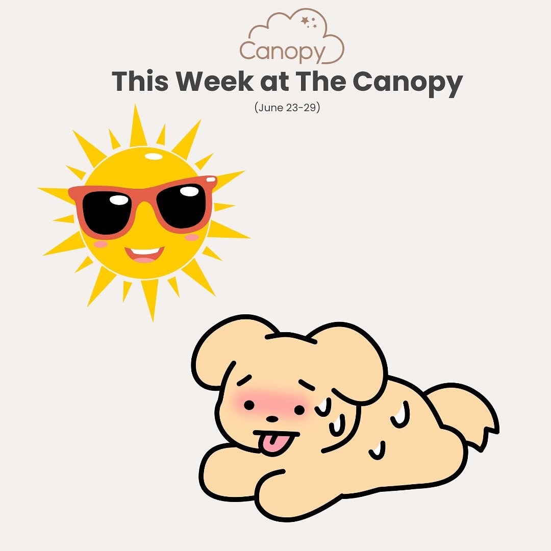 Discover the wonderful classes happening at @thecanopynyc this week! 🙌
⠀
#TheCanopy #FamilyFun #DanceWithBaby #canopywilliamsburg #canopynyc #playspace #williamsburg #greenpoint #northbrooklyn #thecanopynyc #nyckids #williamsburgkids
