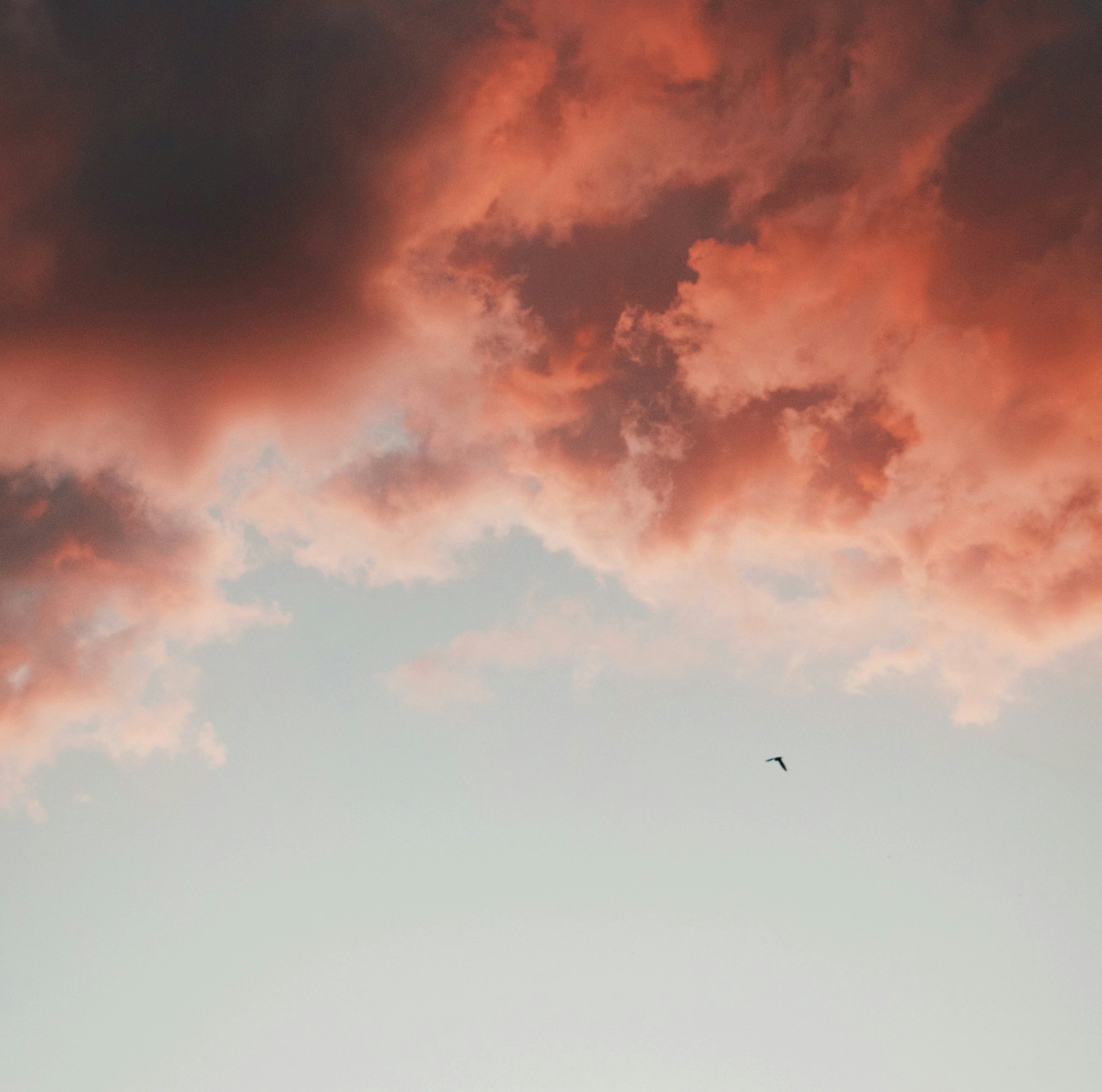 ONLINE Breath Circle