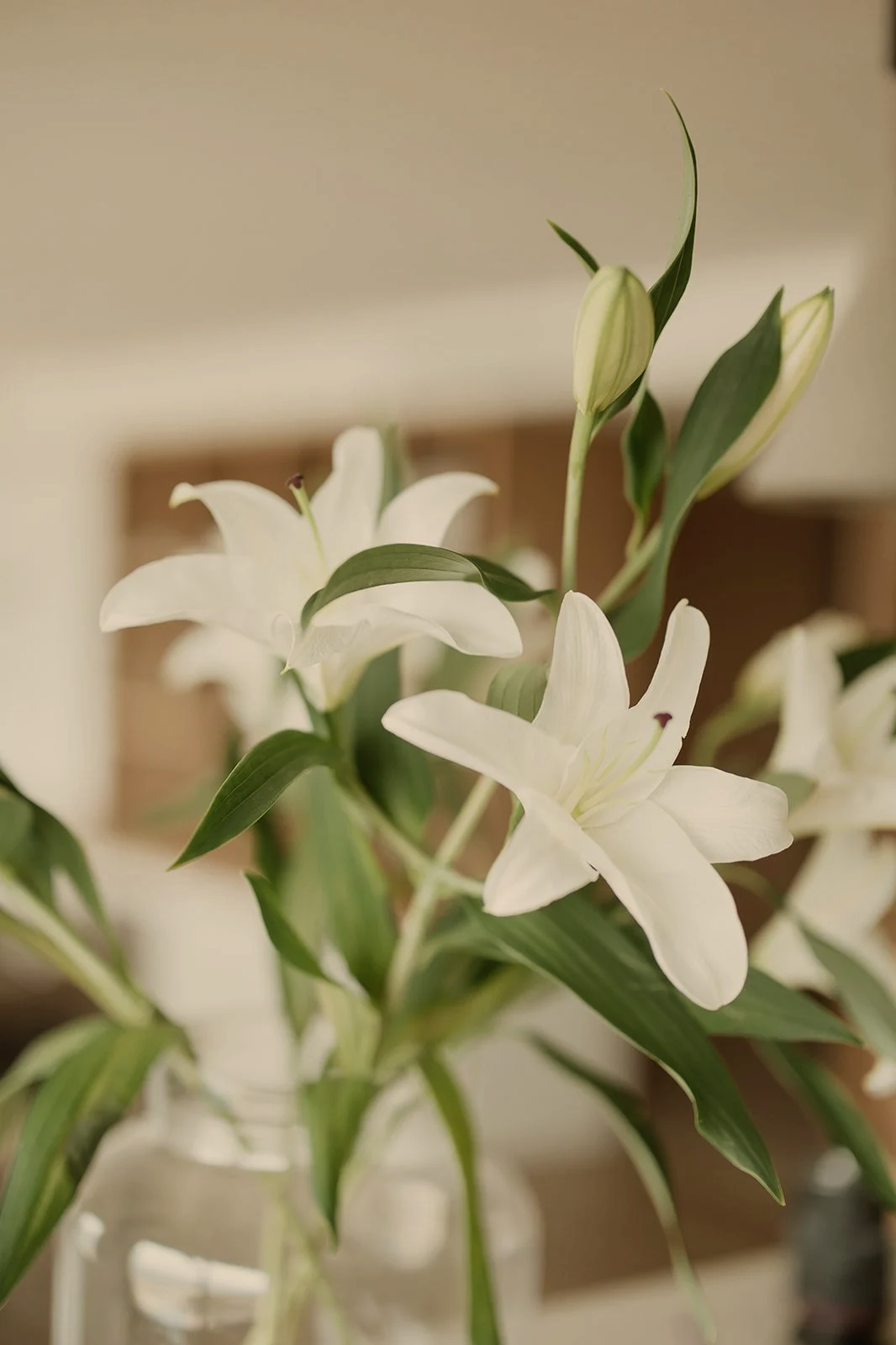 Close-up of white lilies with green leaves in a vase, some buds unopened.