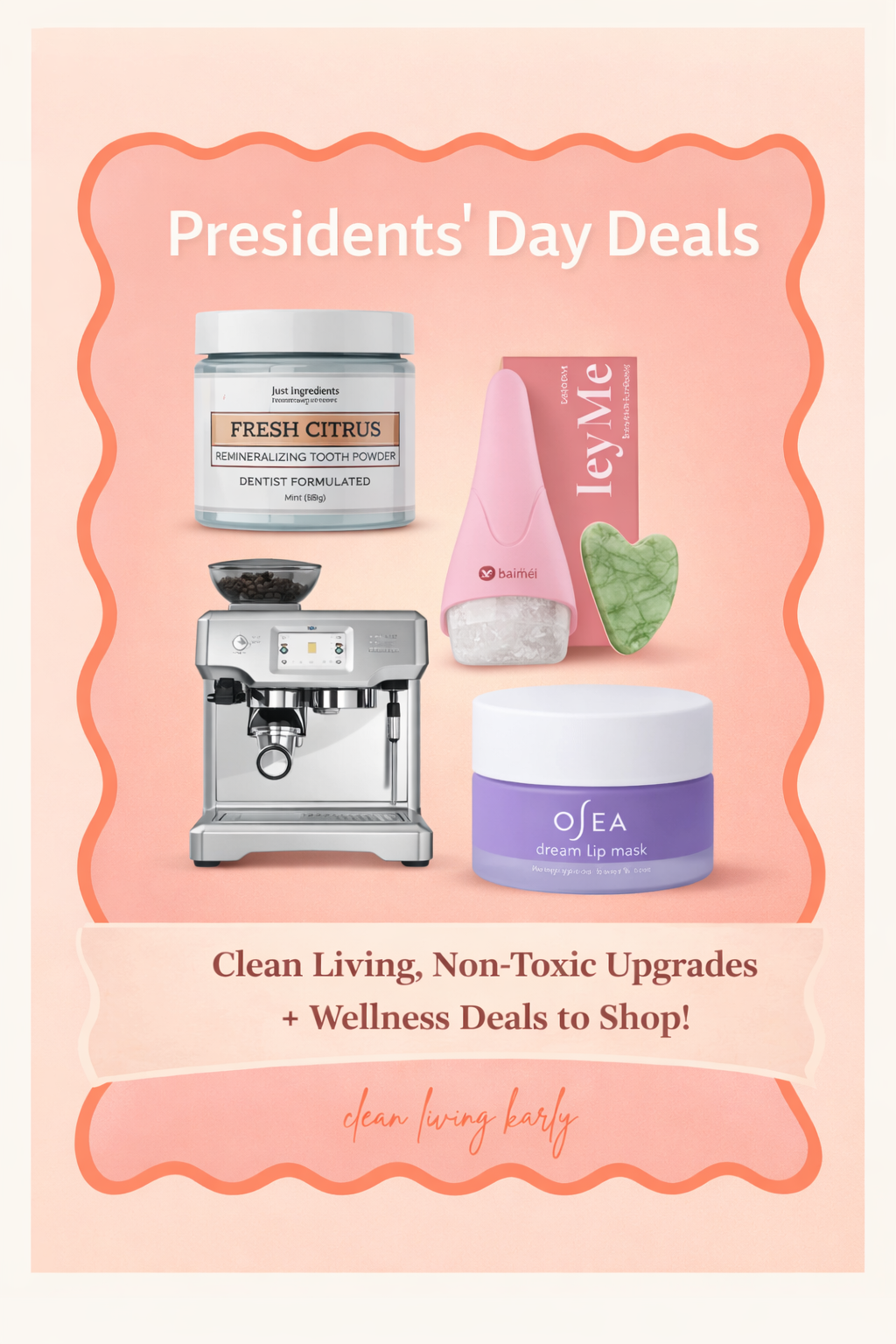 Presidents’ Day Sale Roundup (The Clean Living Version)