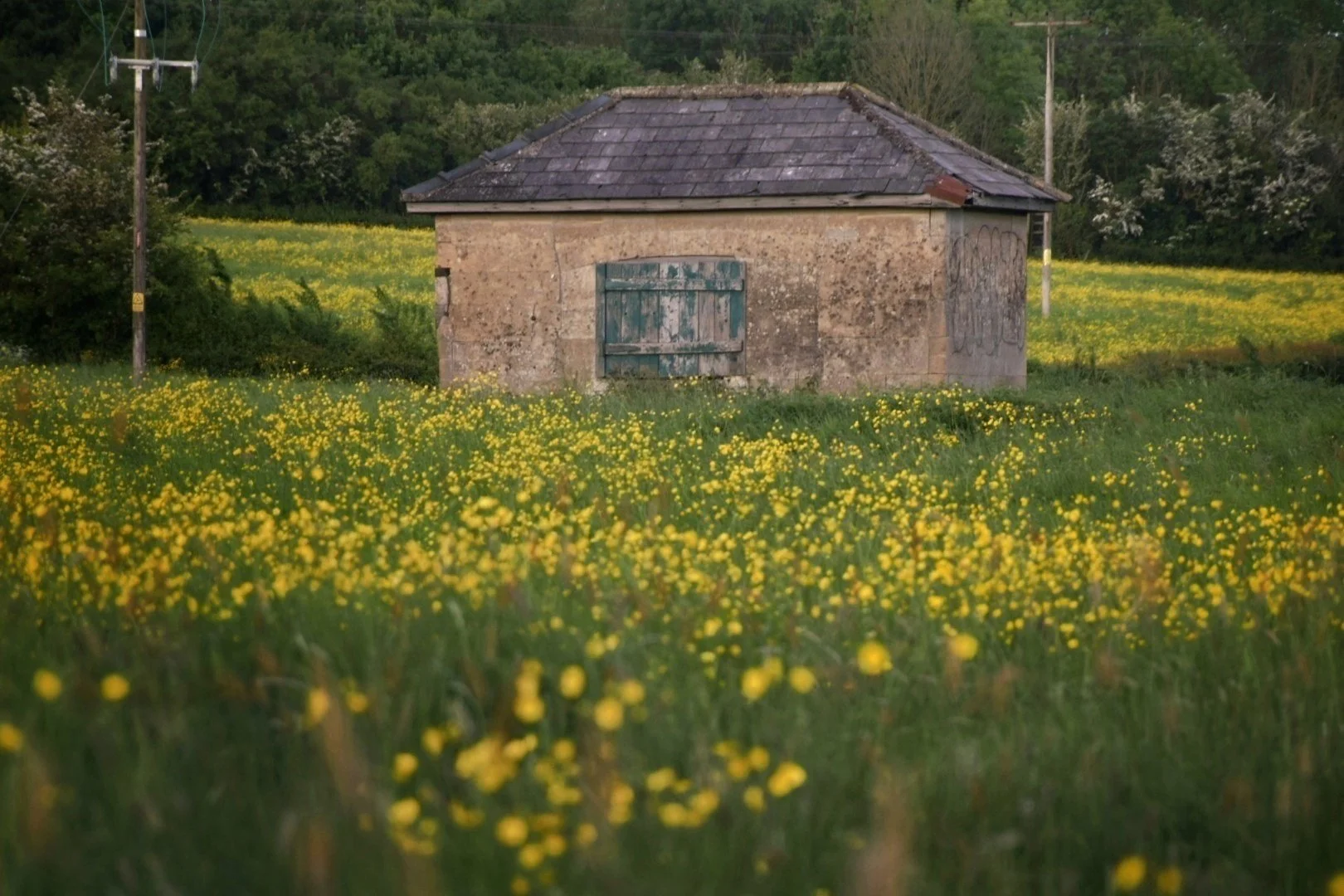 DSC_0314-01-01-01-01-01 (1) (1).jpeg