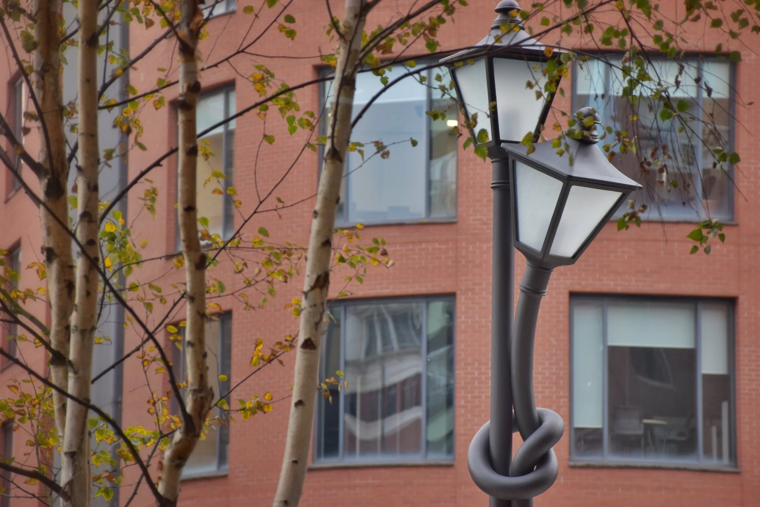 DSC_0797 (1) (1).JPG