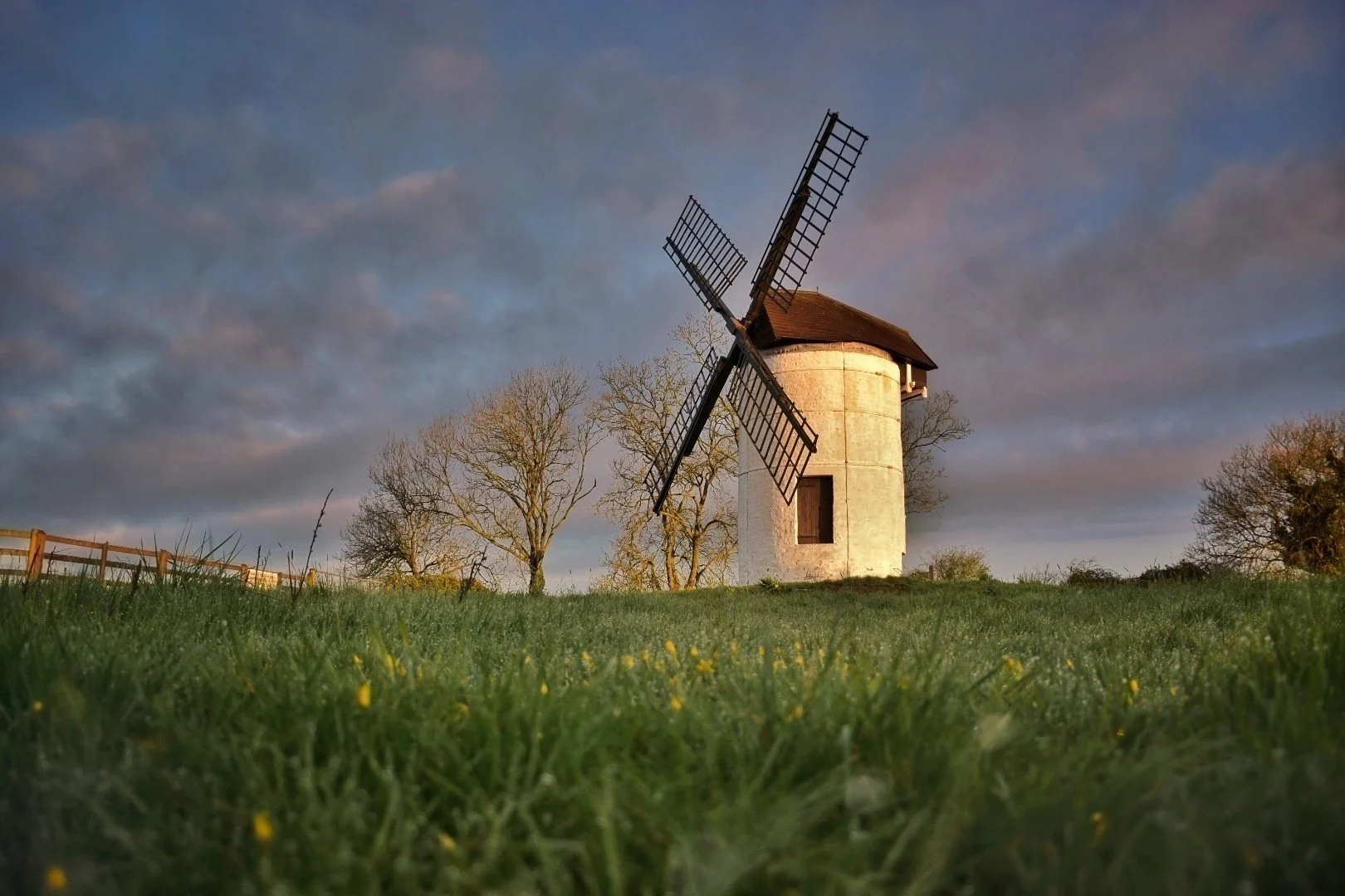 DSC_0169-01-01-01-01-02 (1) (1) (1).jpeg