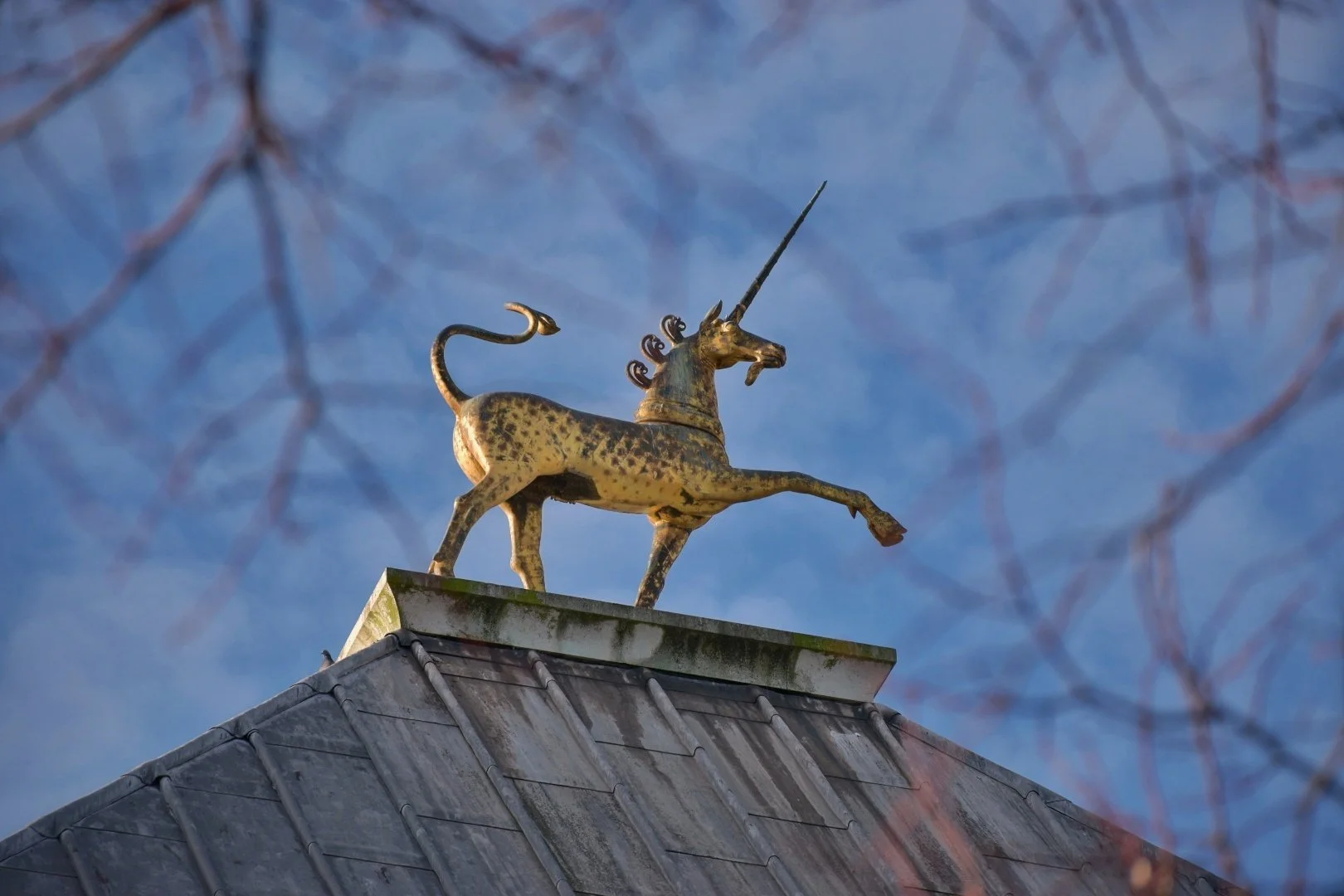 DSC_0930 (2) (2).JPG