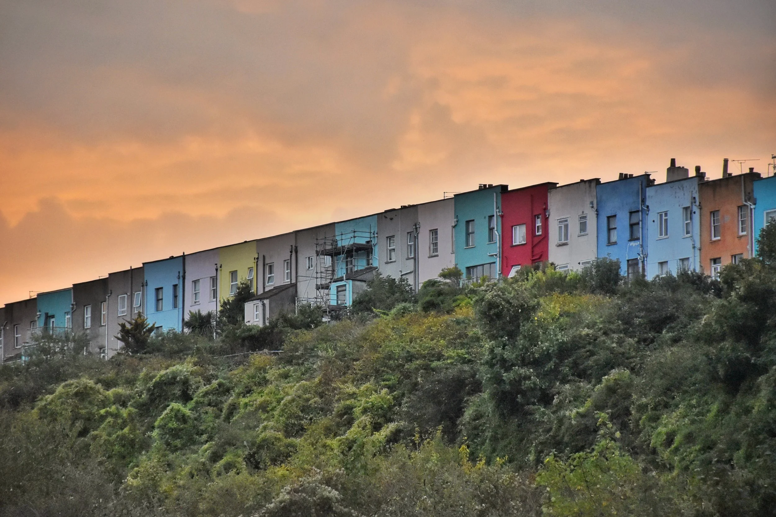 DSC_0800 (1) (1).JPG