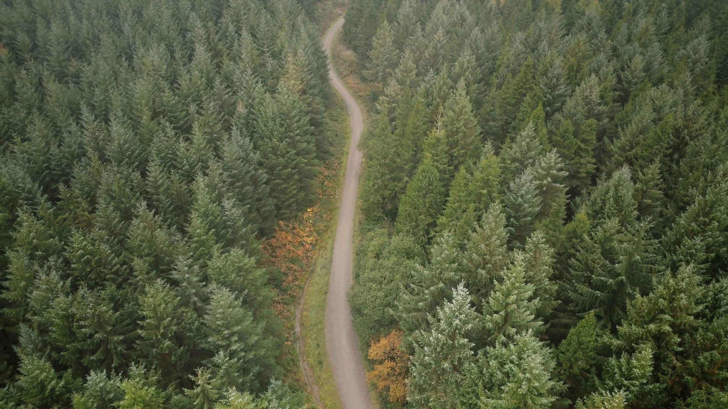 DJI_0836 (1) (1) (1) (1) (1).JPG