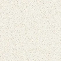 speckled snow.jpg