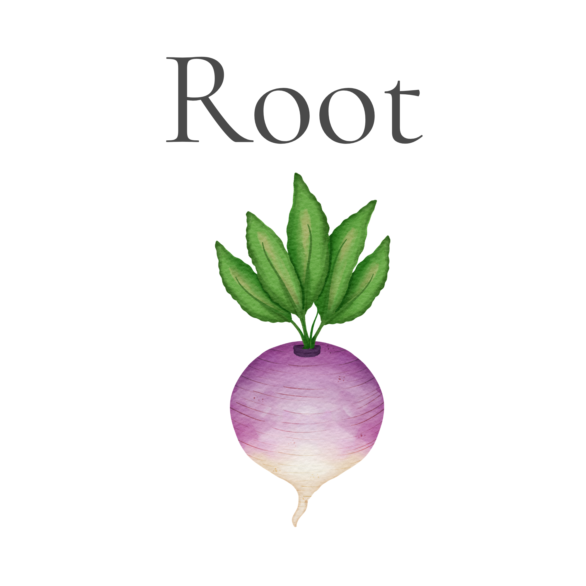 Root - Weekly Coaching Calls