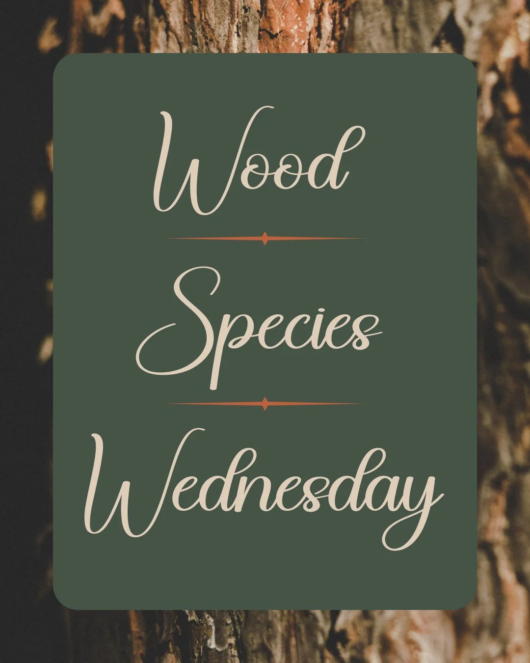 Wood Species Wednesday: Red Oak

Red Oak is one of the most recognized and widely used hardwoods in American homes&mdash;and for good reason.

Known for its prominent grain pattern and warm undertones, Red Oak brings natural texture and character int
