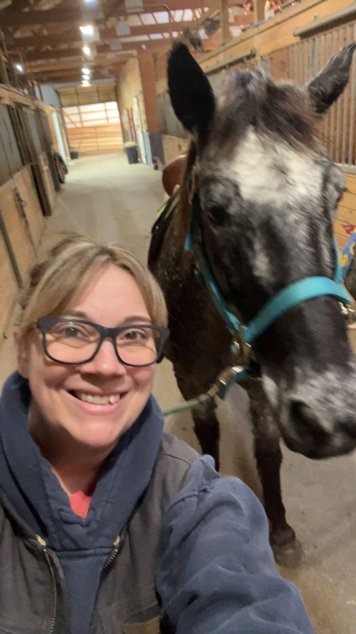 A woman with glasses taking a selfie with a horse in a stable.